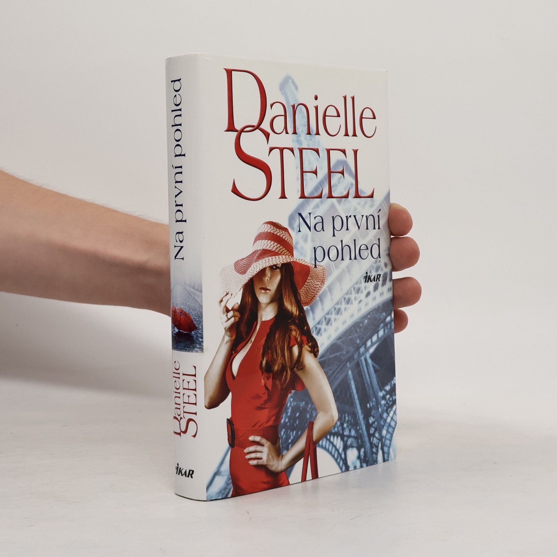 Danielle Steel Na první pohled