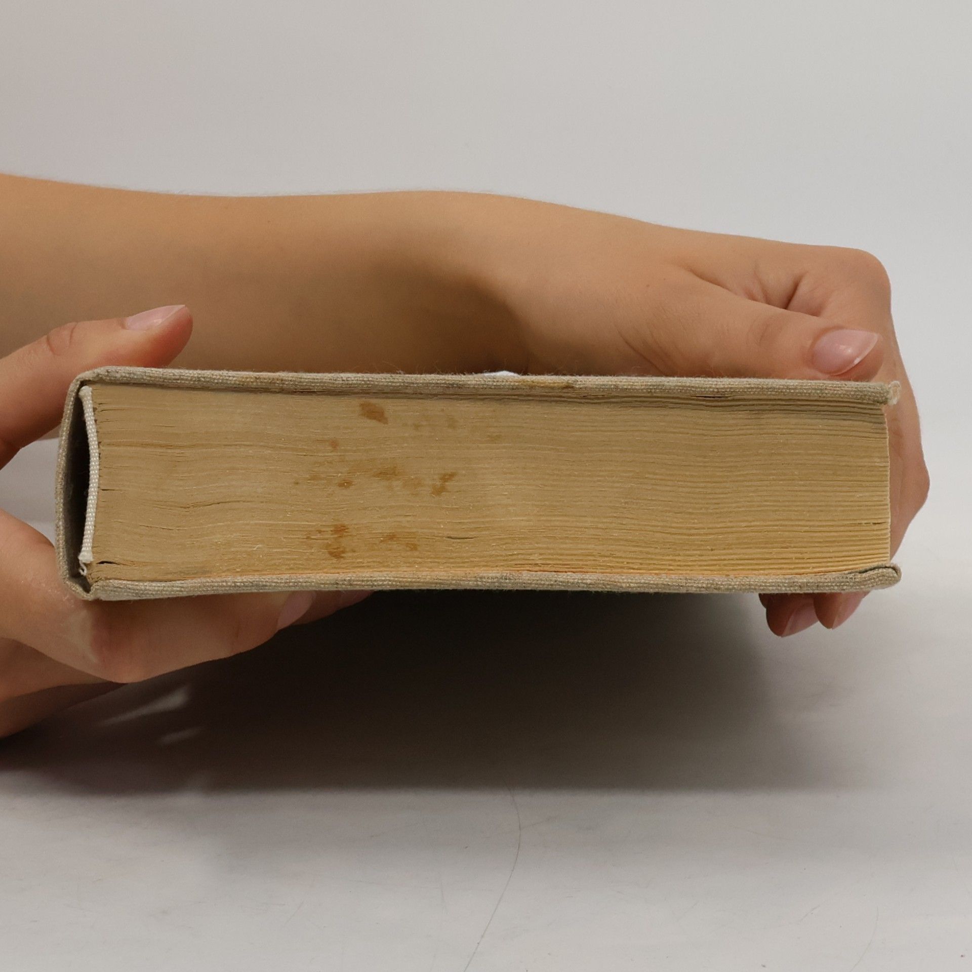 Autorenkollektiv Světem zvířat III. Domácí zvířata