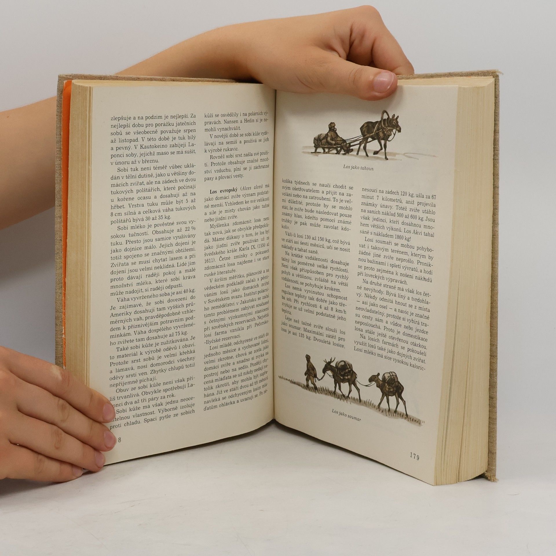 Autorenkollektiv Světem zvířat III. Domácí zvířata