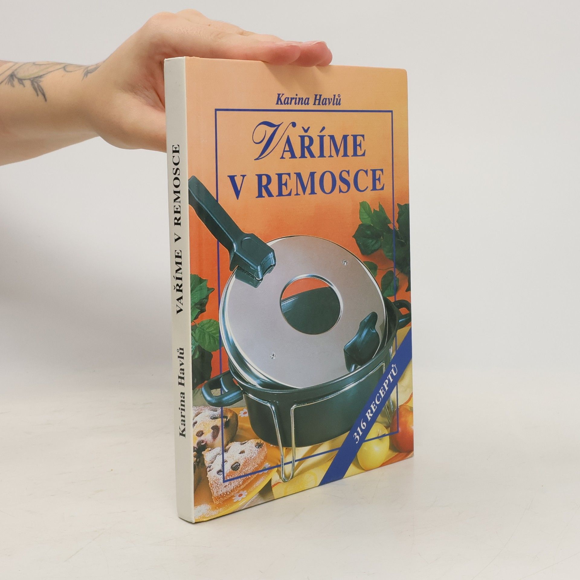 Karina Havlů Vaříme v remosce : 316 receptů
