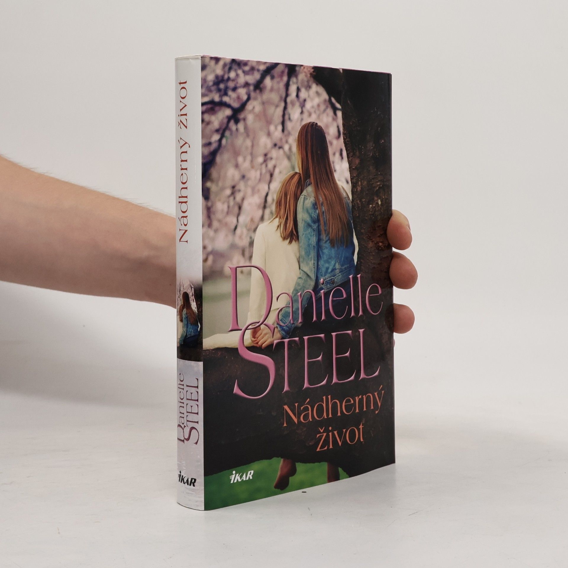 Danielle Steel Nádherný život