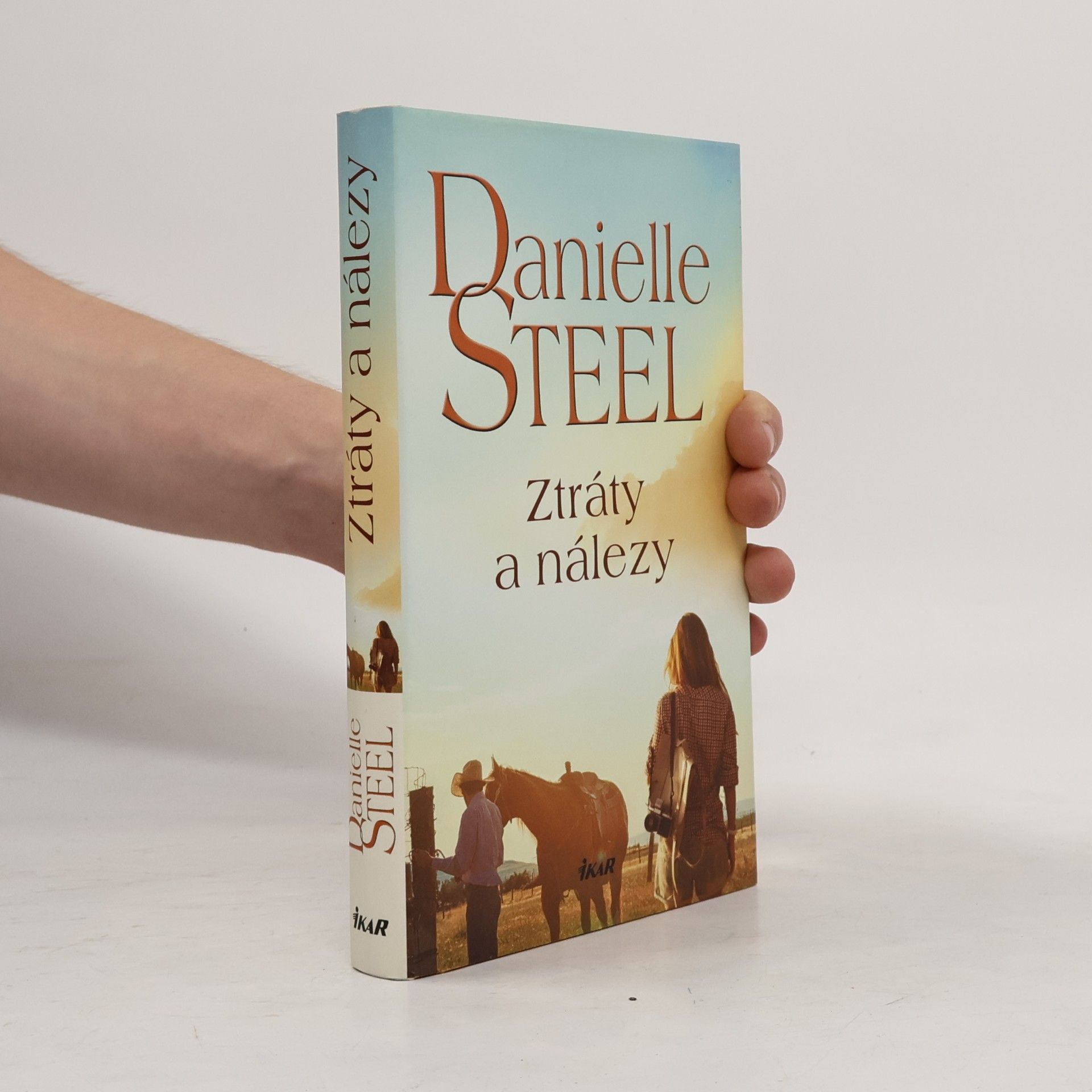 Danielle Steel Ztráty a nálezy