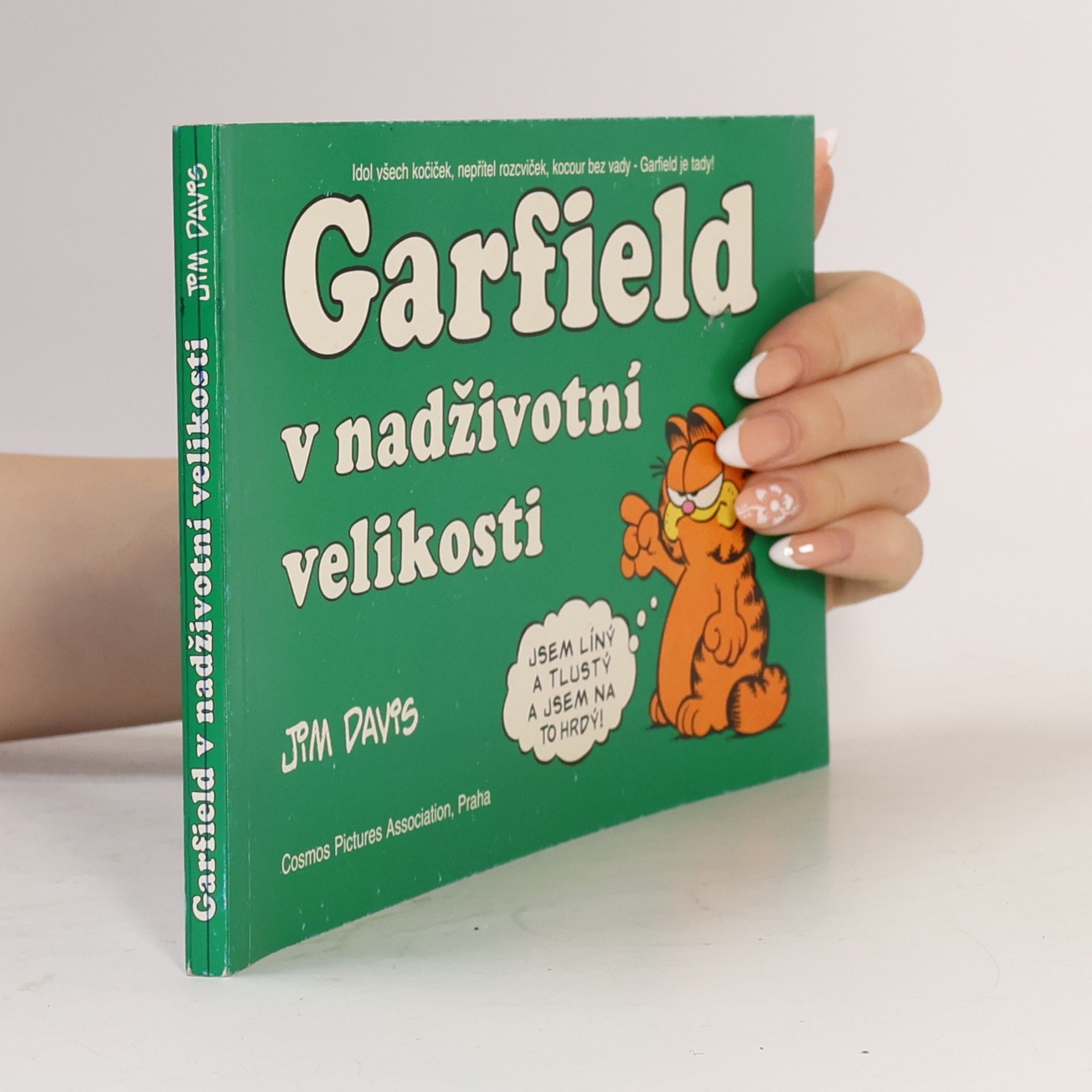 Jim Davis Garfield v nadživotní velikosti