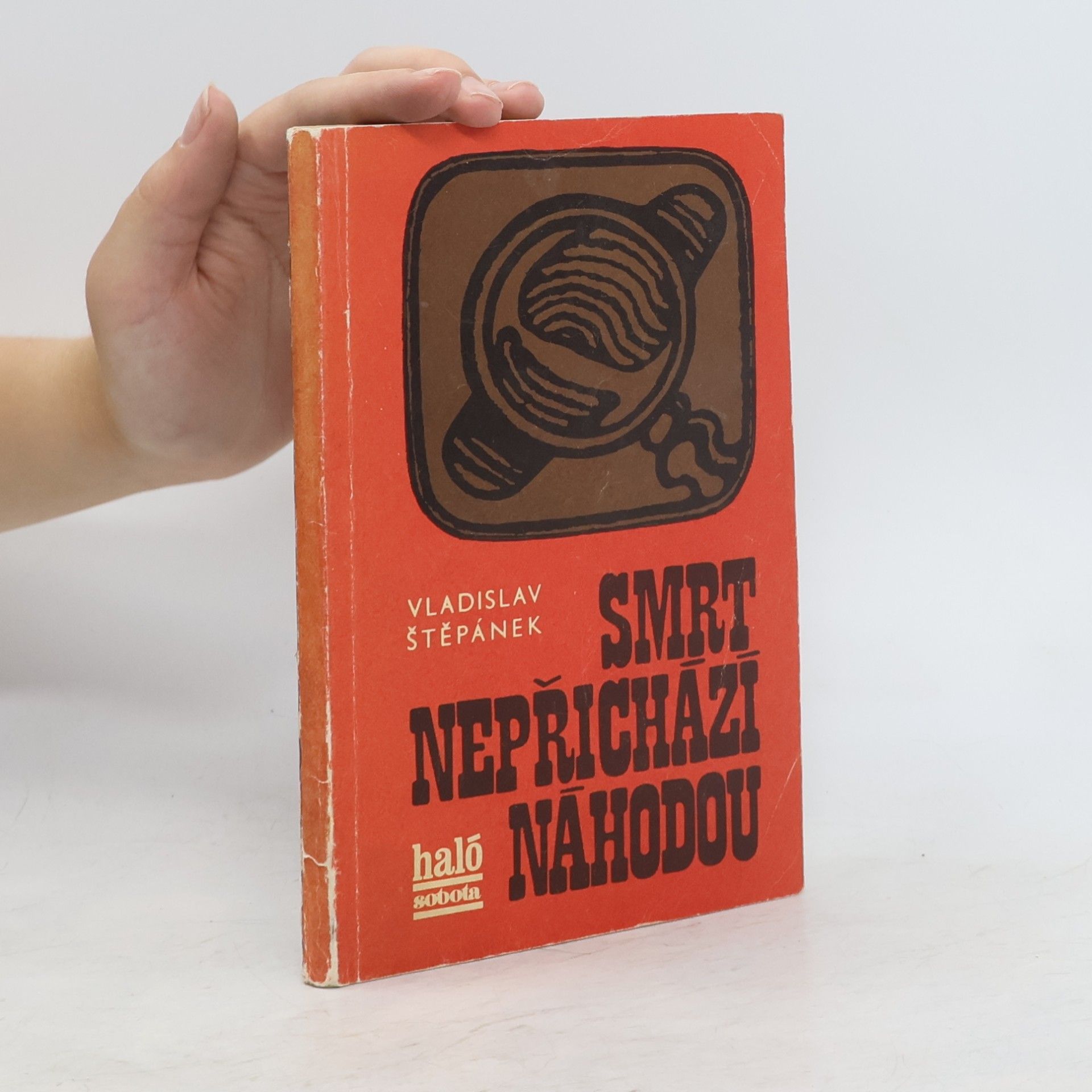 Vladislav Štěpánek Smrt nepřichází náhodou