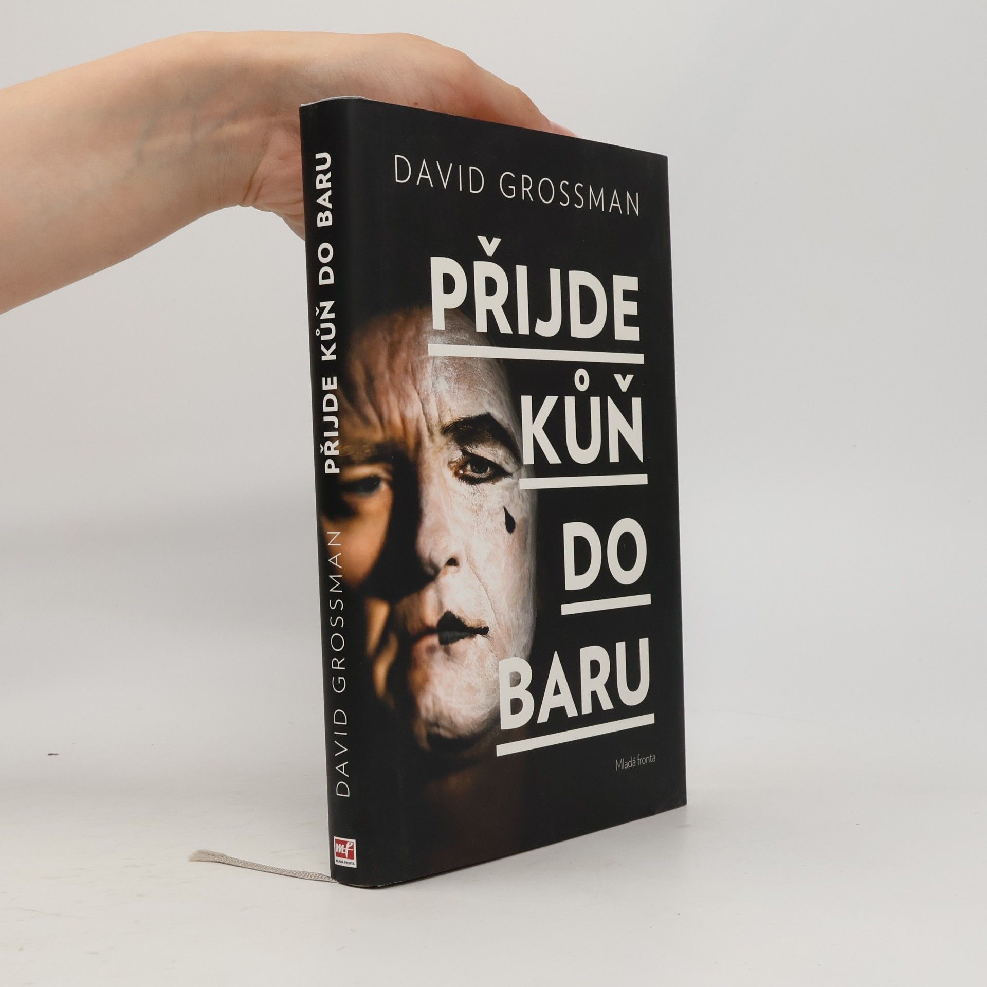 David Grossman Přijde kůň do baru