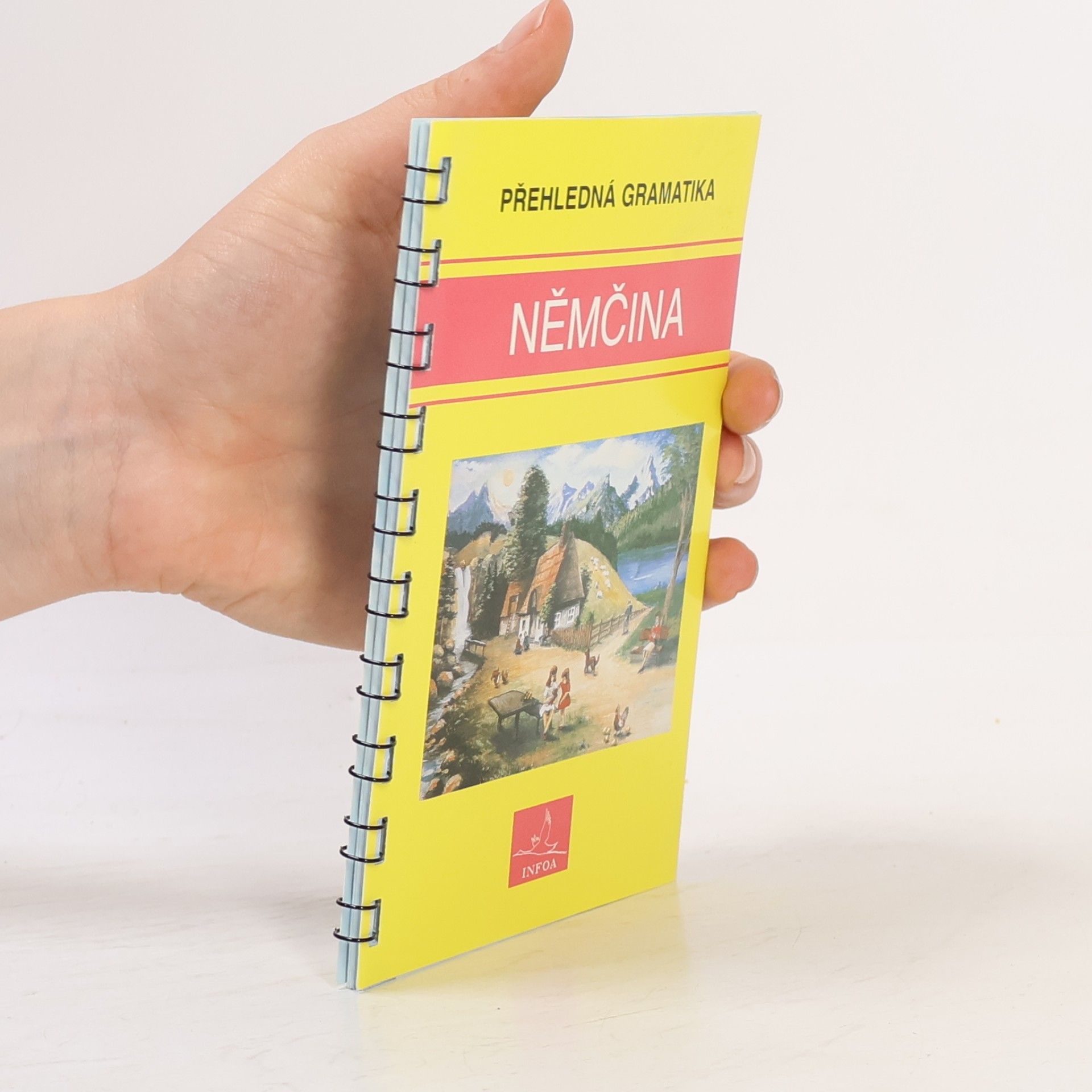 Němčina. Přehledná gramatika