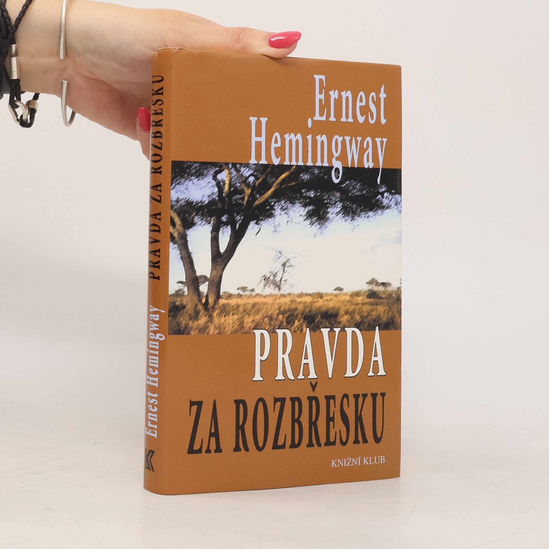 Ernest Hemingway Pravda za rozbřesku