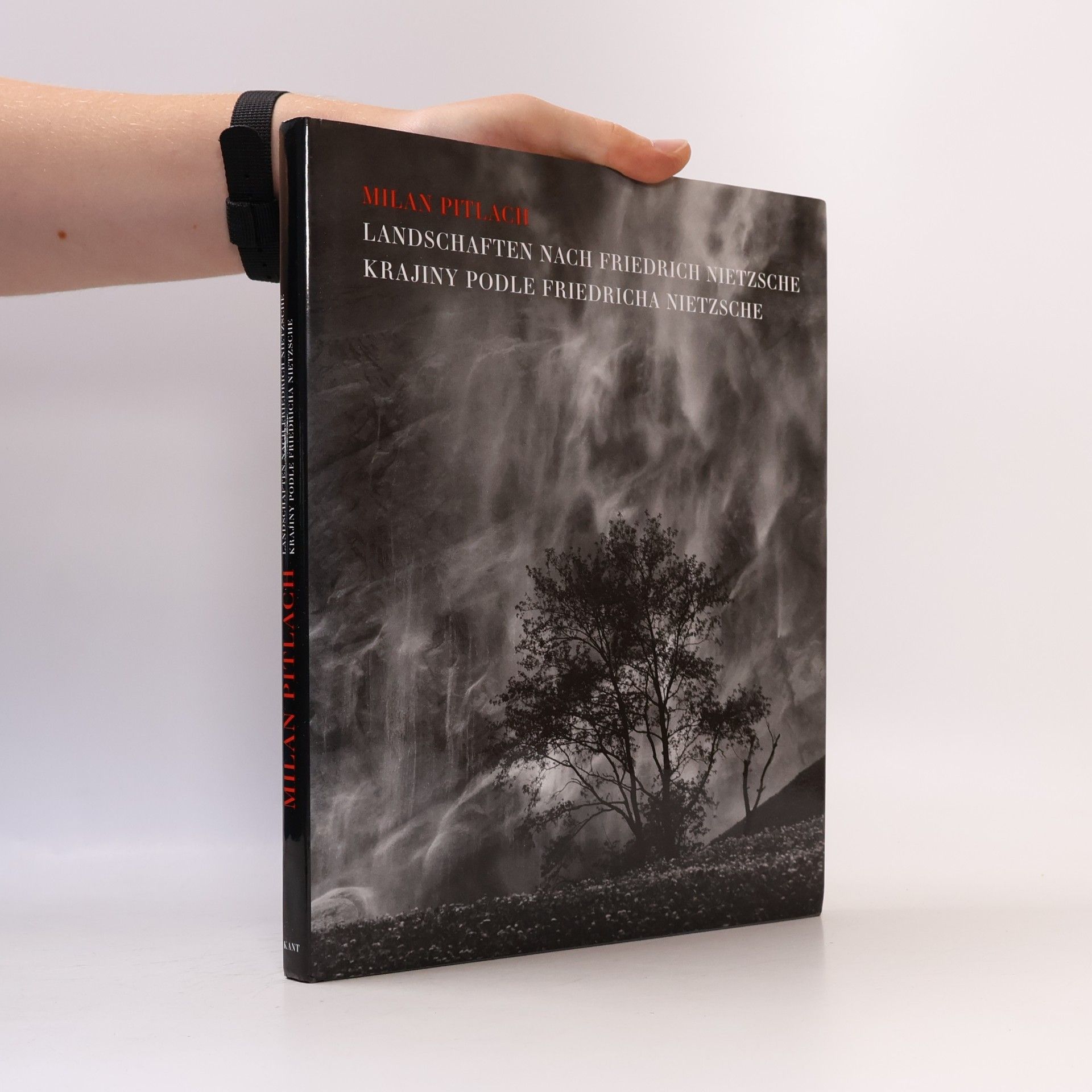 Milan Pitlach Landschaften nach Friedrich Nietzsche. Krajiny podle Friedricha Nietzsche.