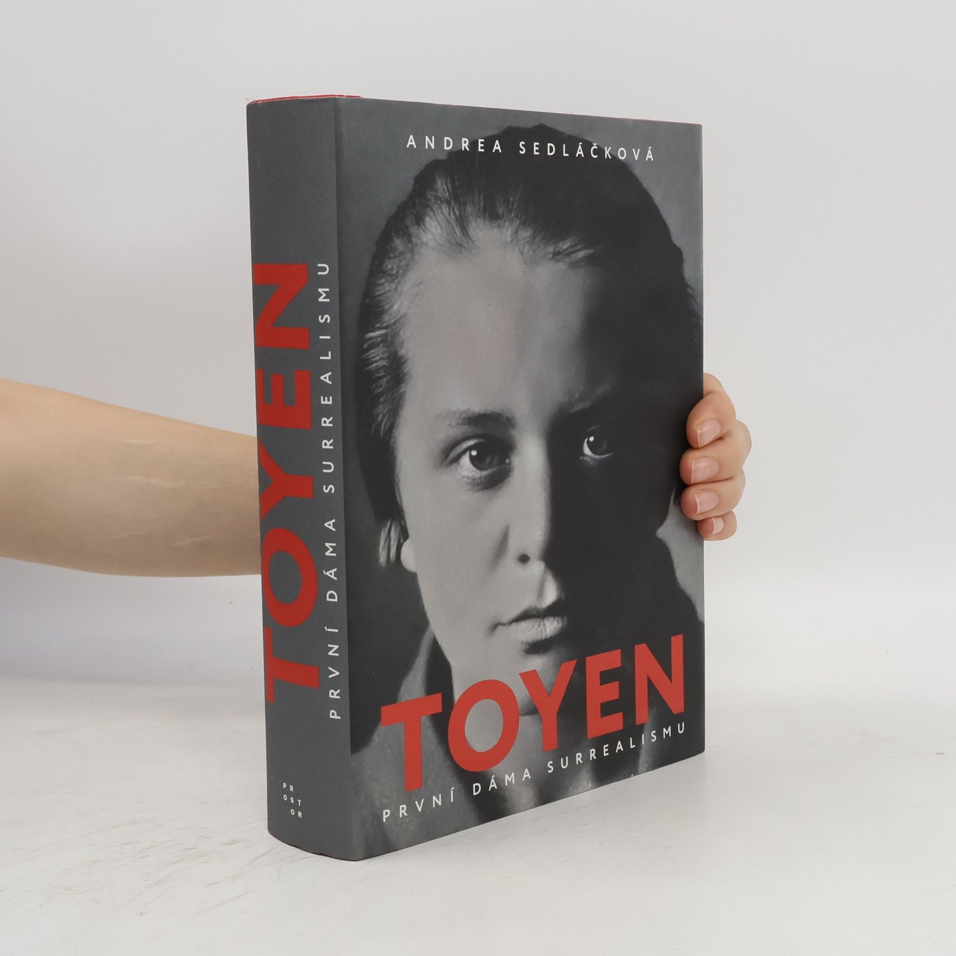 Andrea Sedláčková Toyen: první dáma surrealismu
