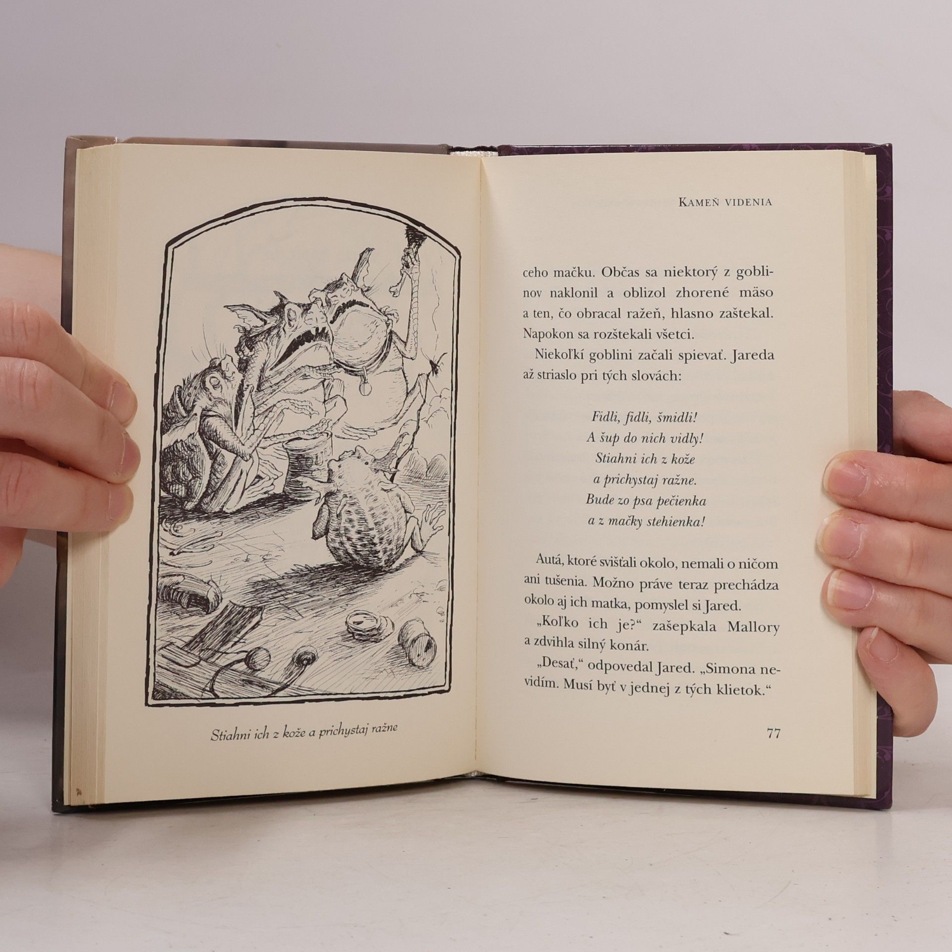 Tony DiTerlizzi Kronika rodu Spiderwickovcov 2.
