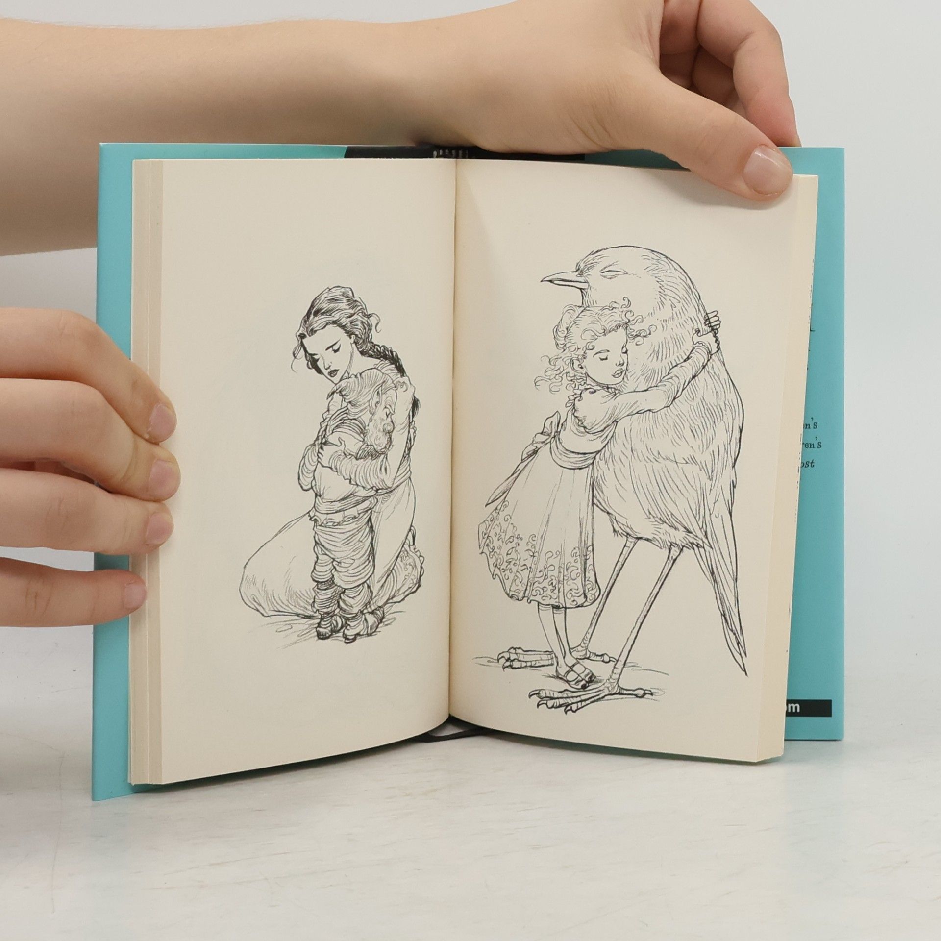 Chris Riddell 100 hugs