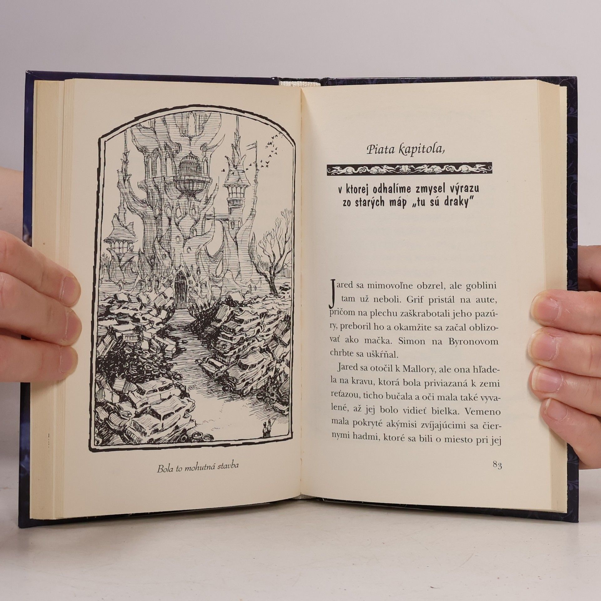 Tony DiTerlizzi Kronika rodu Spiderwickovcov 5. Mulgarath sa hnevá
