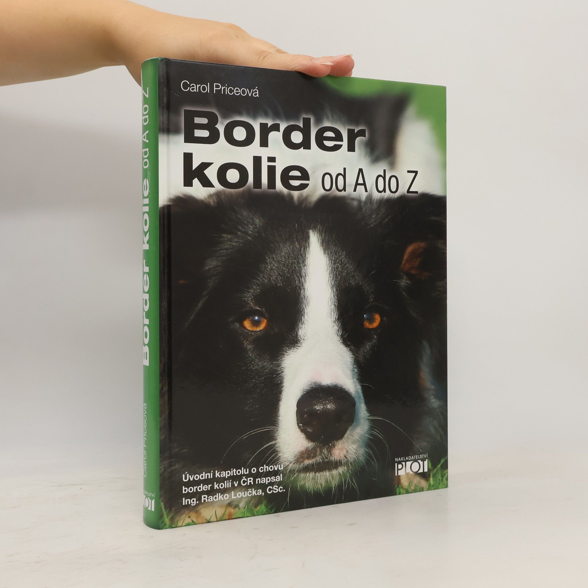 Carol Price Border kolie od A do Z