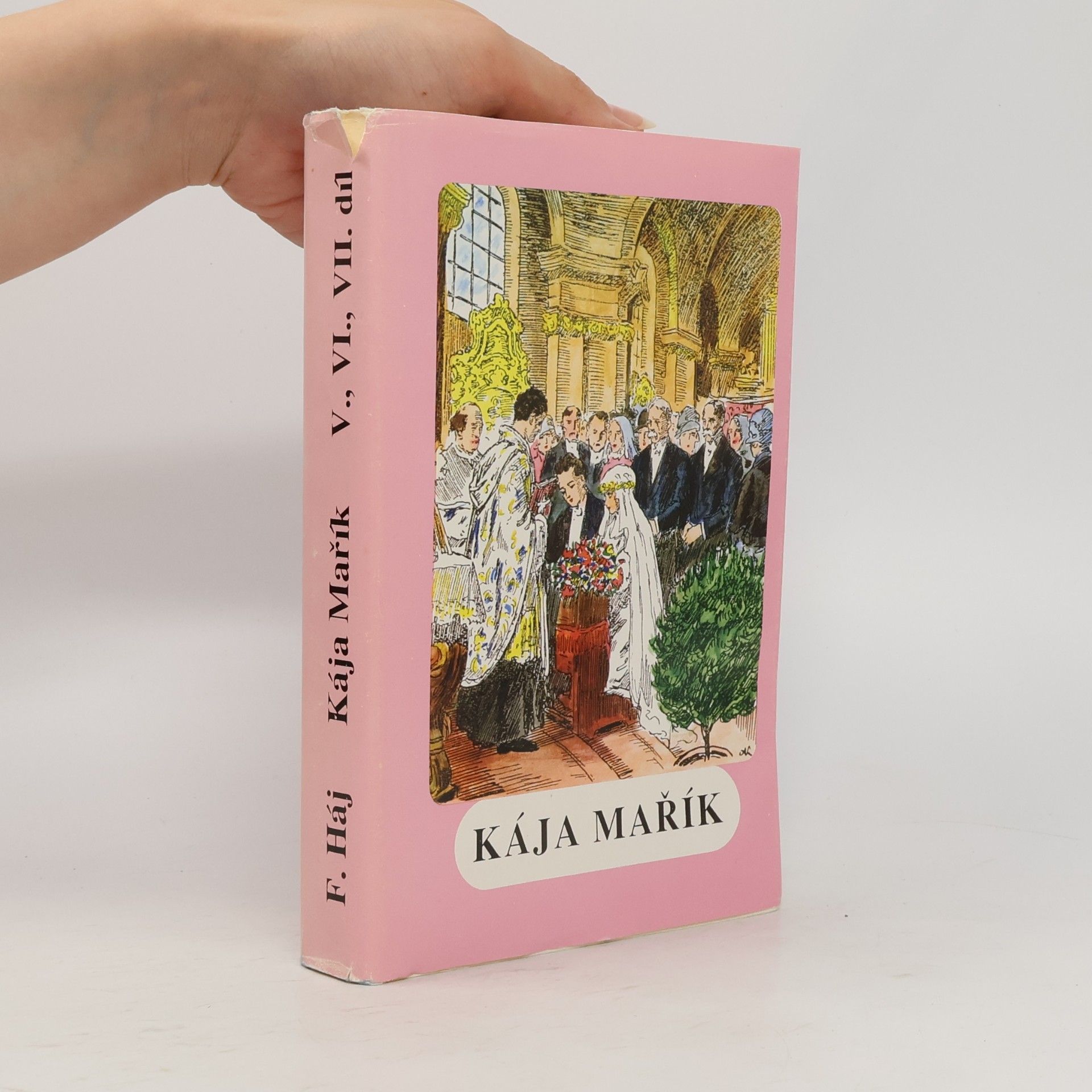 Školák Kája Mařík V.-VII.