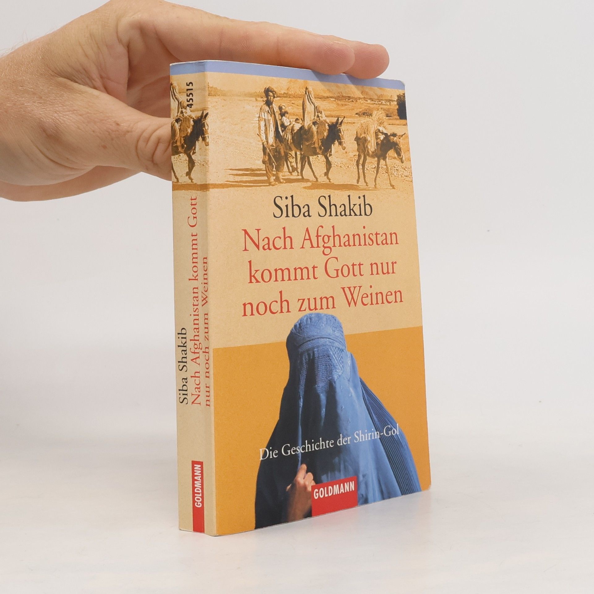 Síba Shakib Nach Afghanistan kommt Gott nur noch zum Weinen