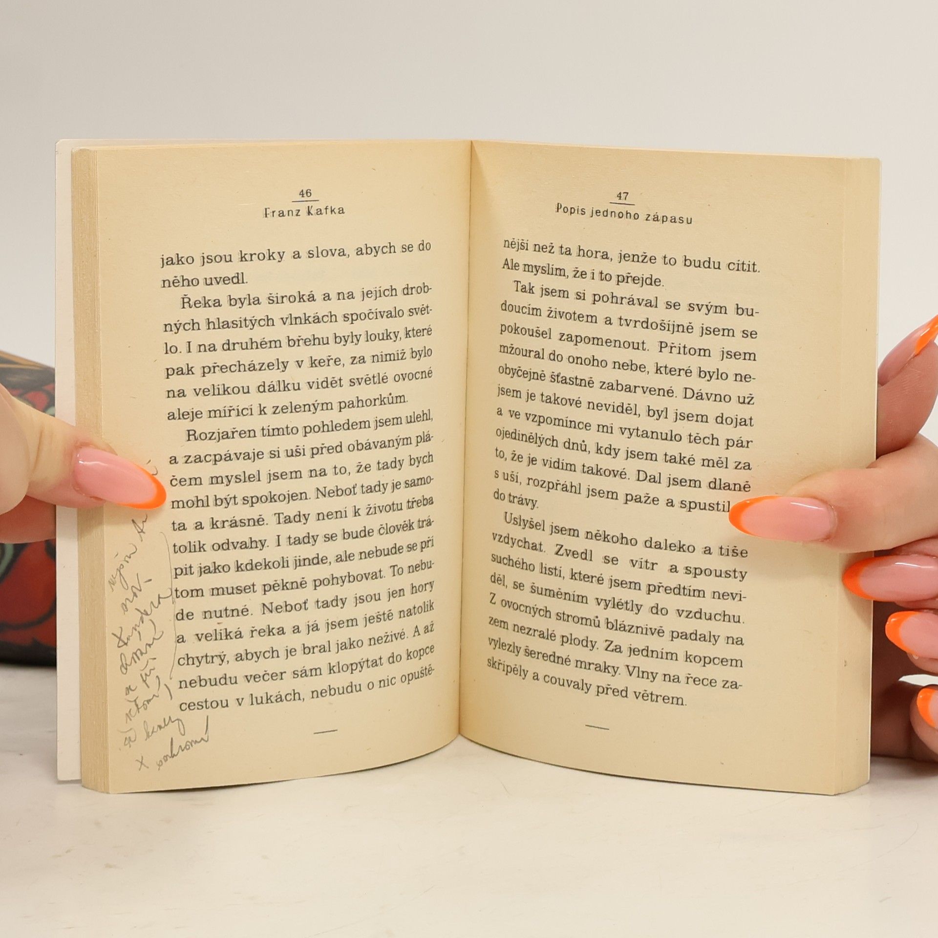 Franz Kafka Popis jednoho zápasu