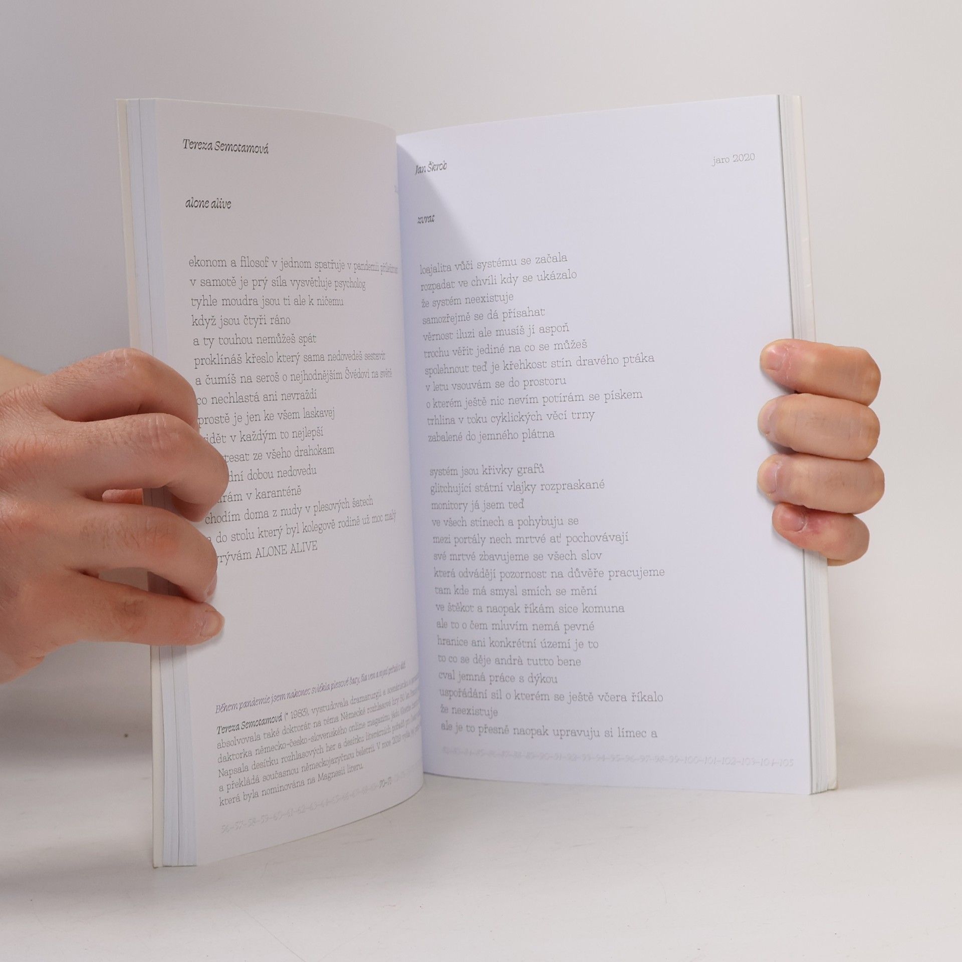 Autorenkollektiv Pandezie