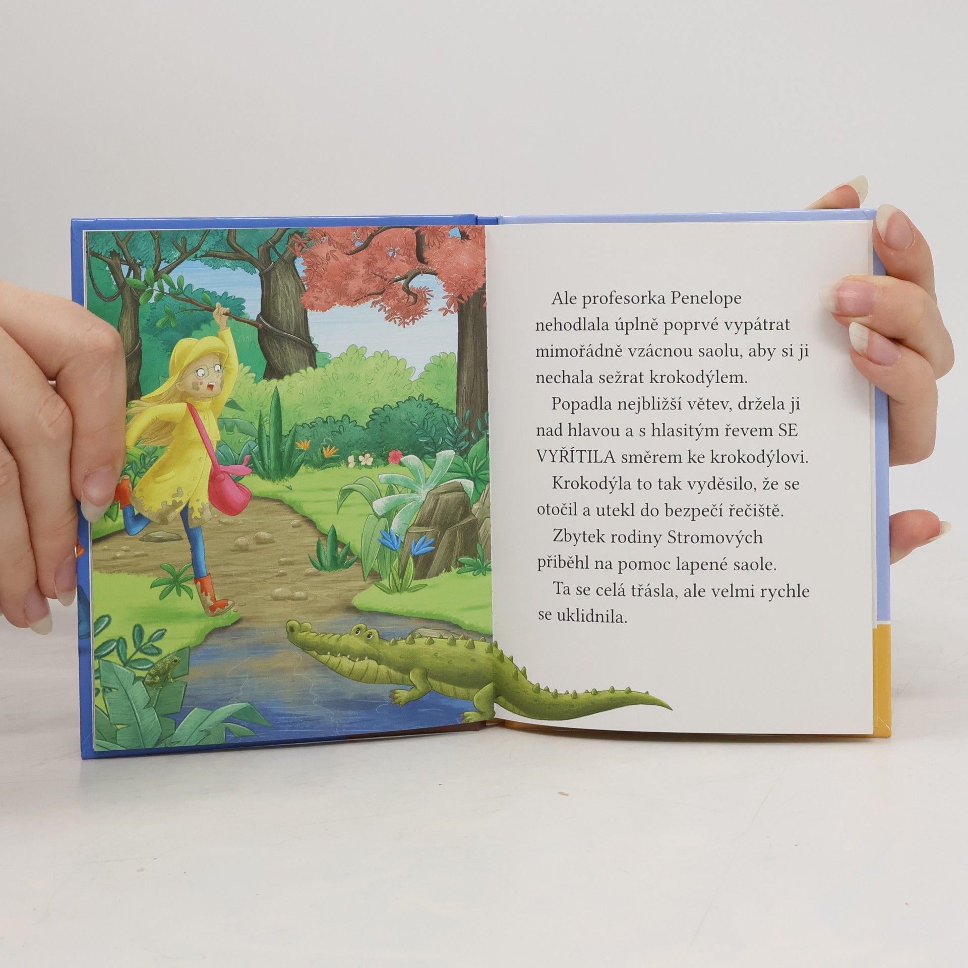 Cressida Cowell Stromovic dvojčata a jejich dobrodružství v divočině. Dvojčata hledají saolu