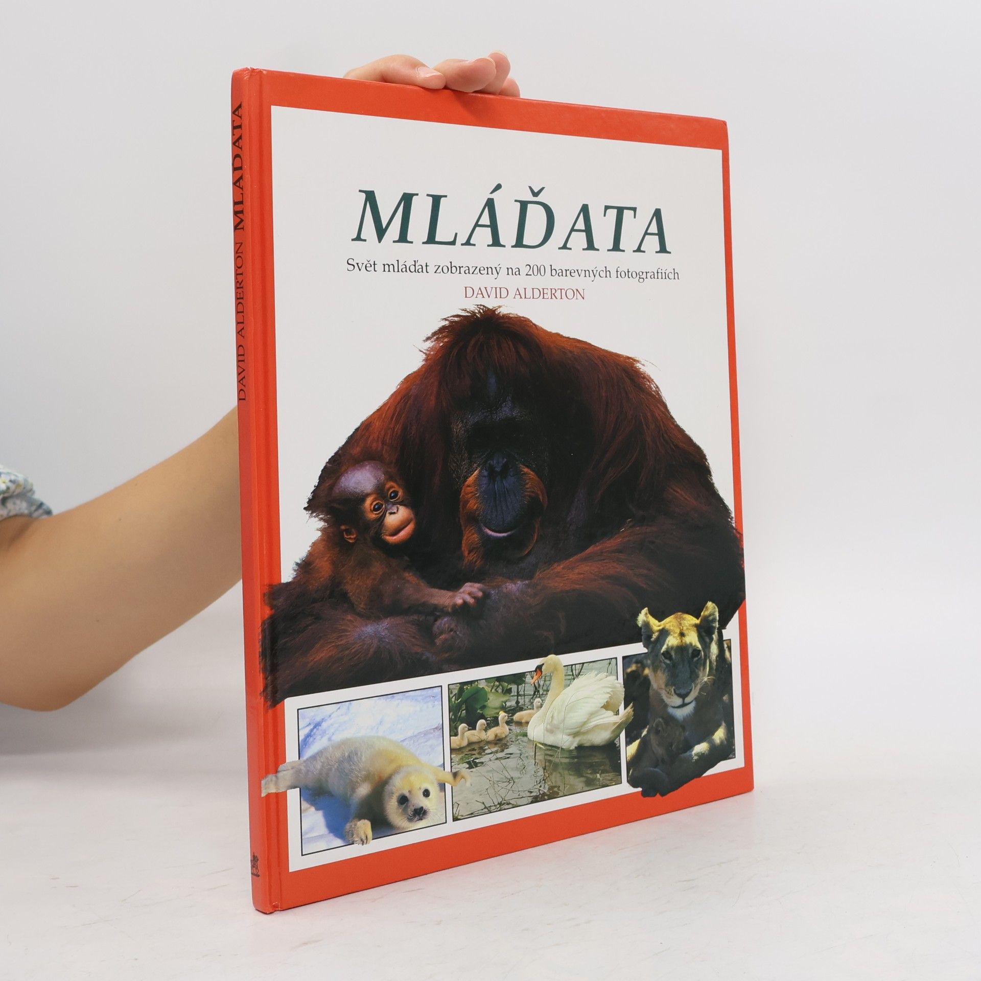 David Alderton Mláďata