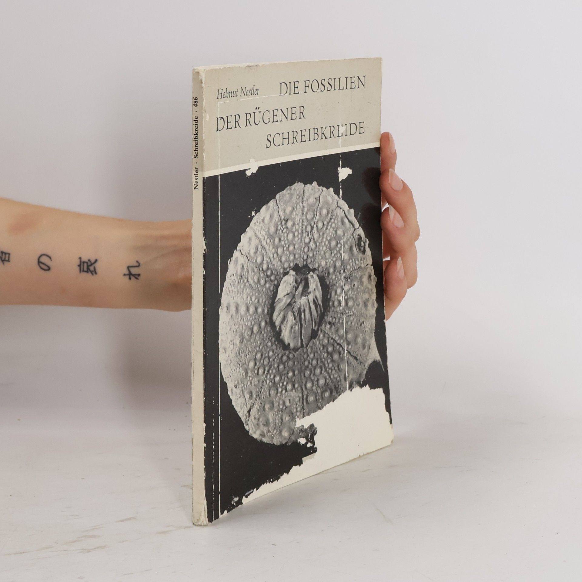 Helmut Nestler Die Fossilien der Rügener Schreibkreide
