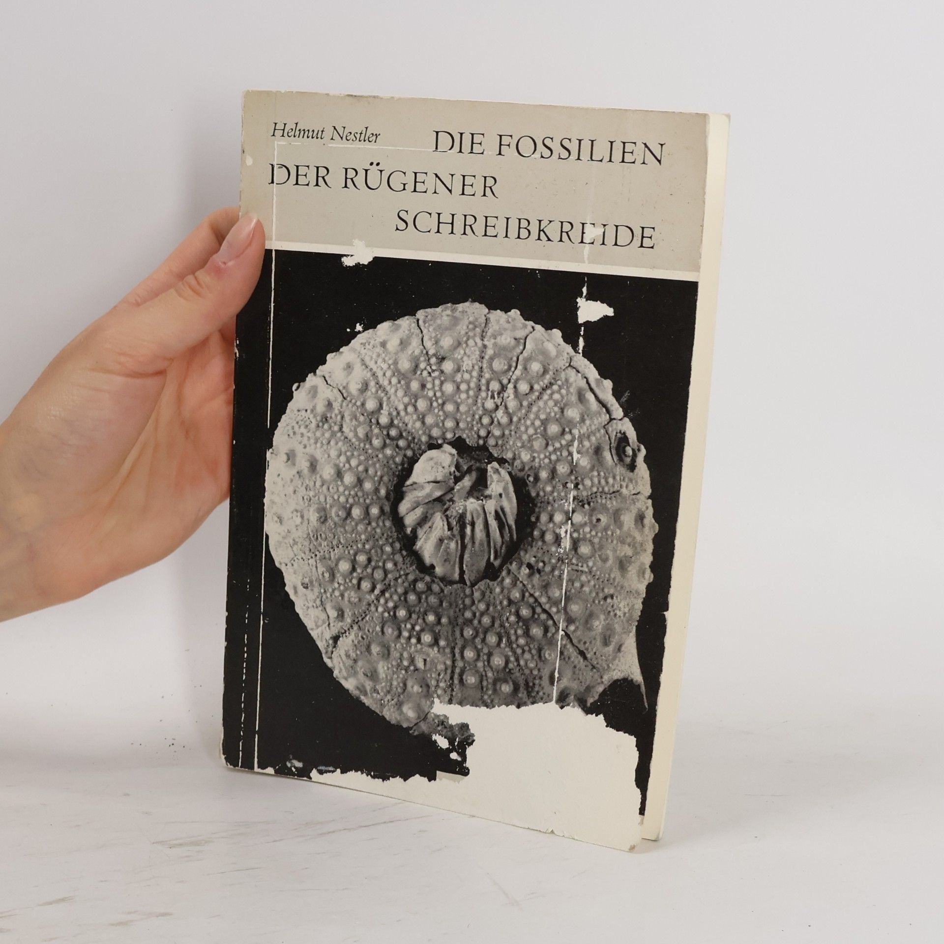 Helmut Nestler Die Fossilien der Rügener Schreibkreide