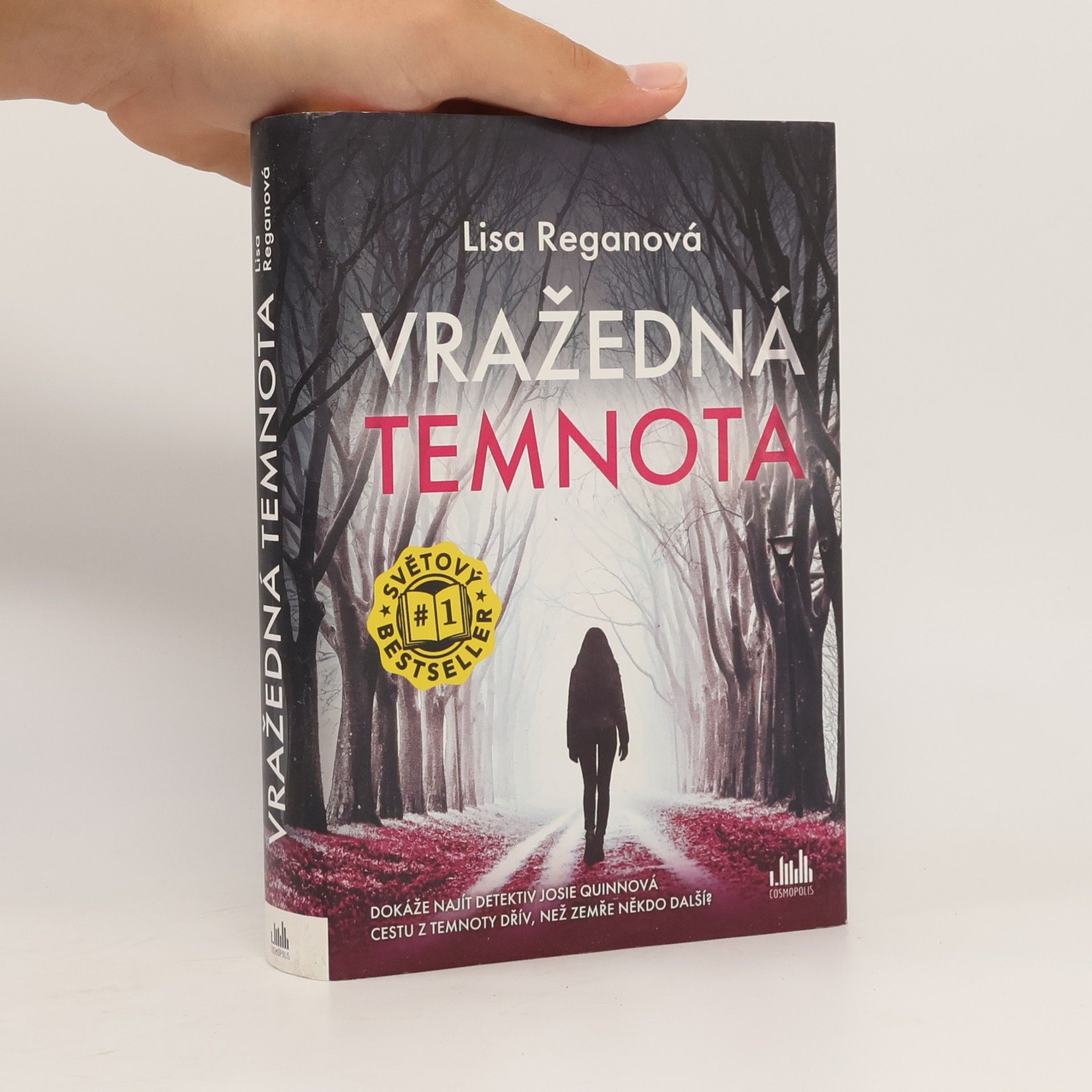 Lisa Regan Vražedná temnota