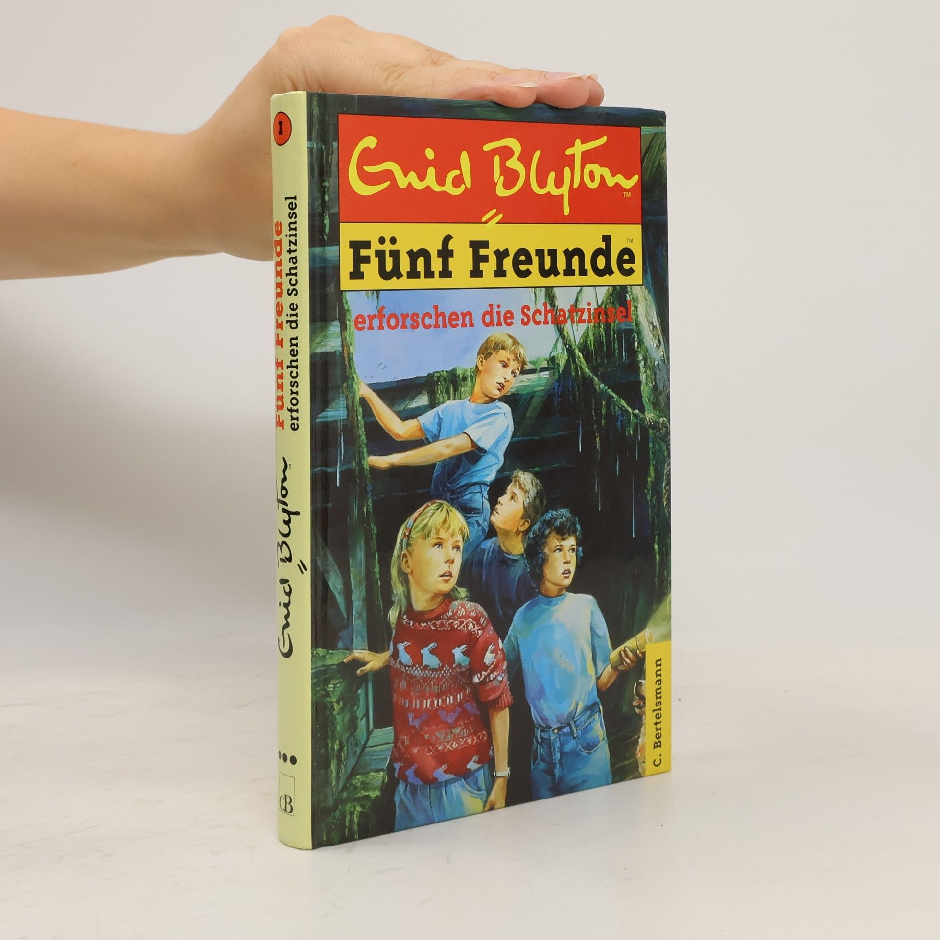 Enid Blyton Fünf Freunde erforschen die Schatzinsel