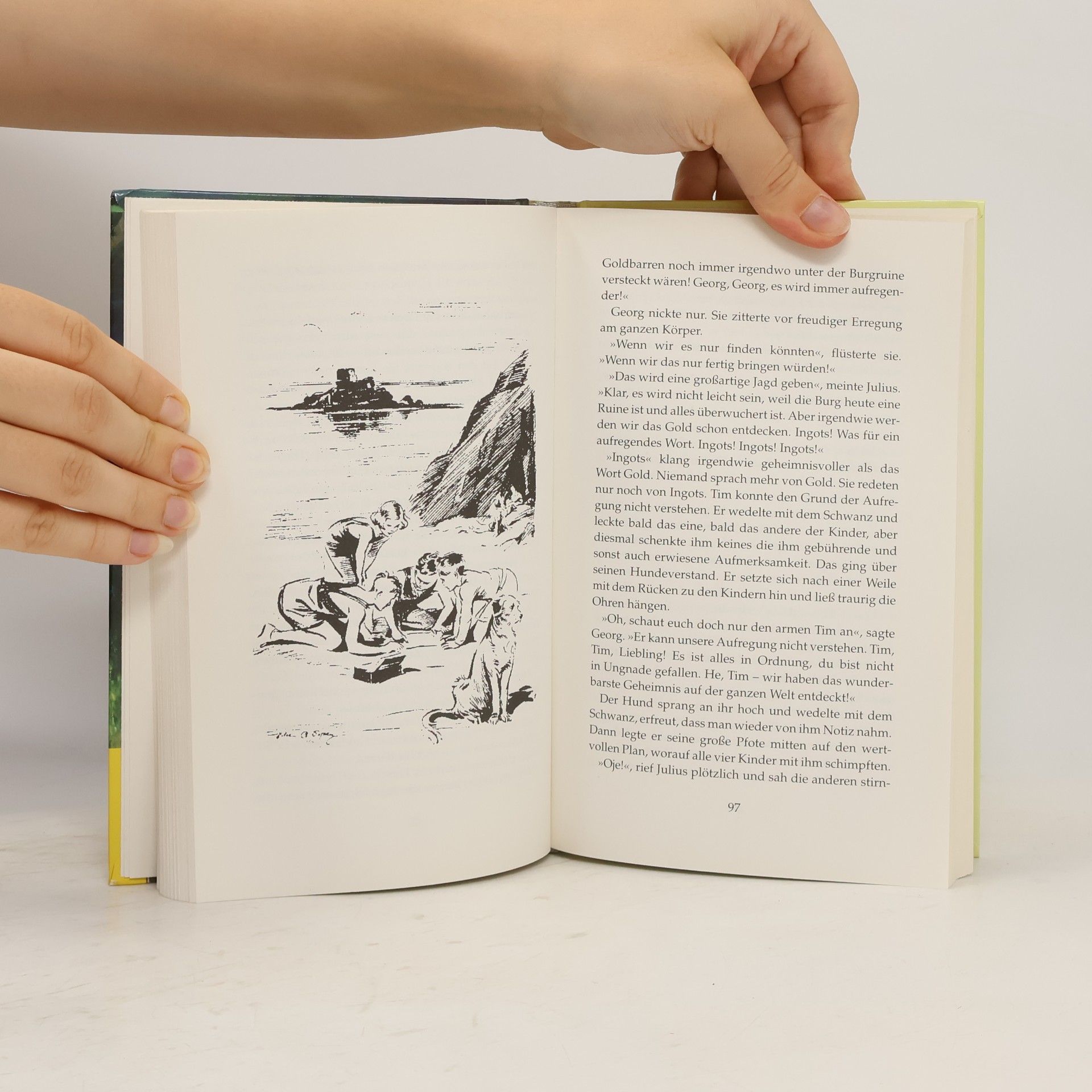 Enid Blyton Fünf Freunde erforschen die Schatzinsel