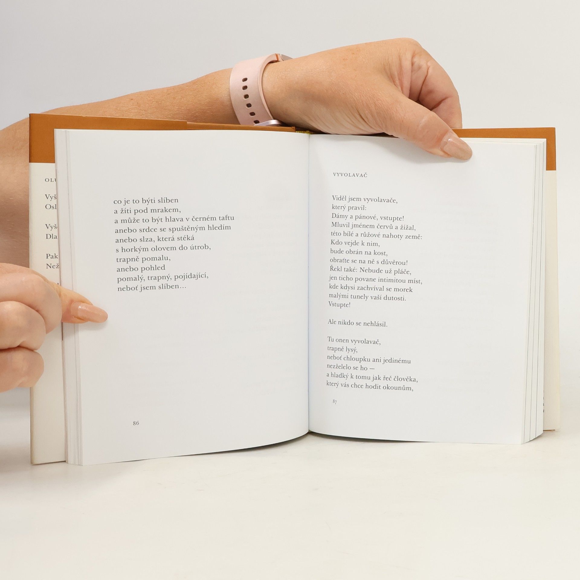 Oldřich Mikulášek Ztracený v poezii : [výbor z básnického díla]