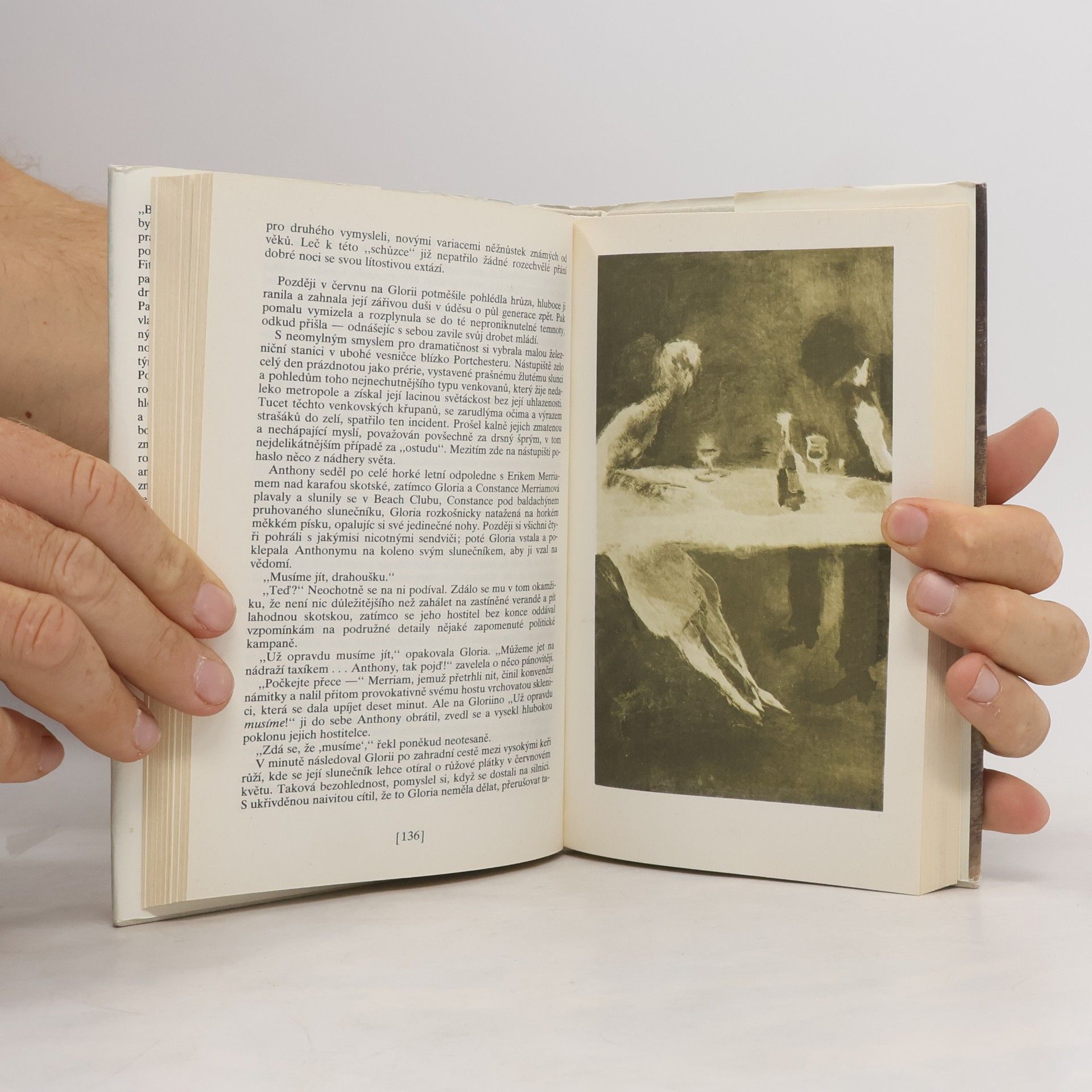 Francis Scott Fitzgerald Krásní a prokletí