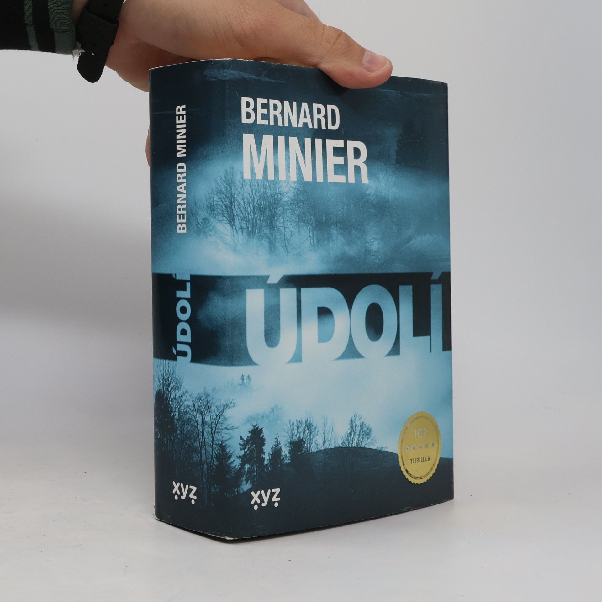 Bernard Minier Údolí