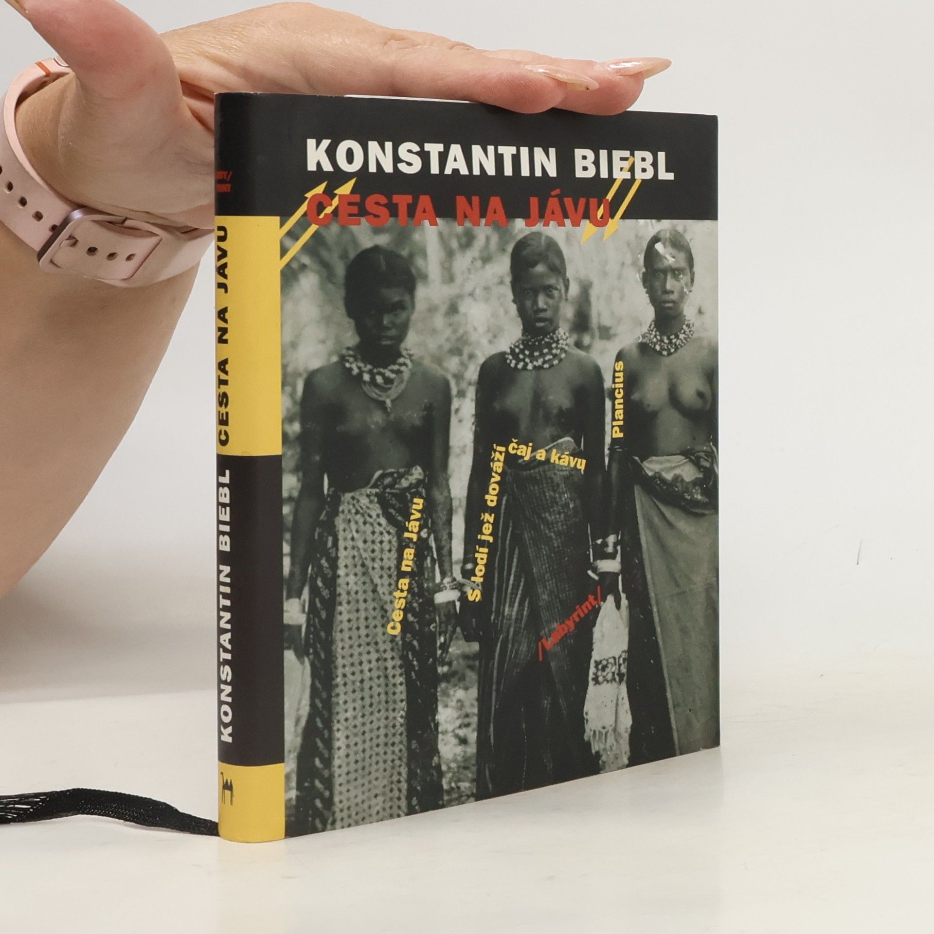 Konstantin Biebl Cesta na Jávu