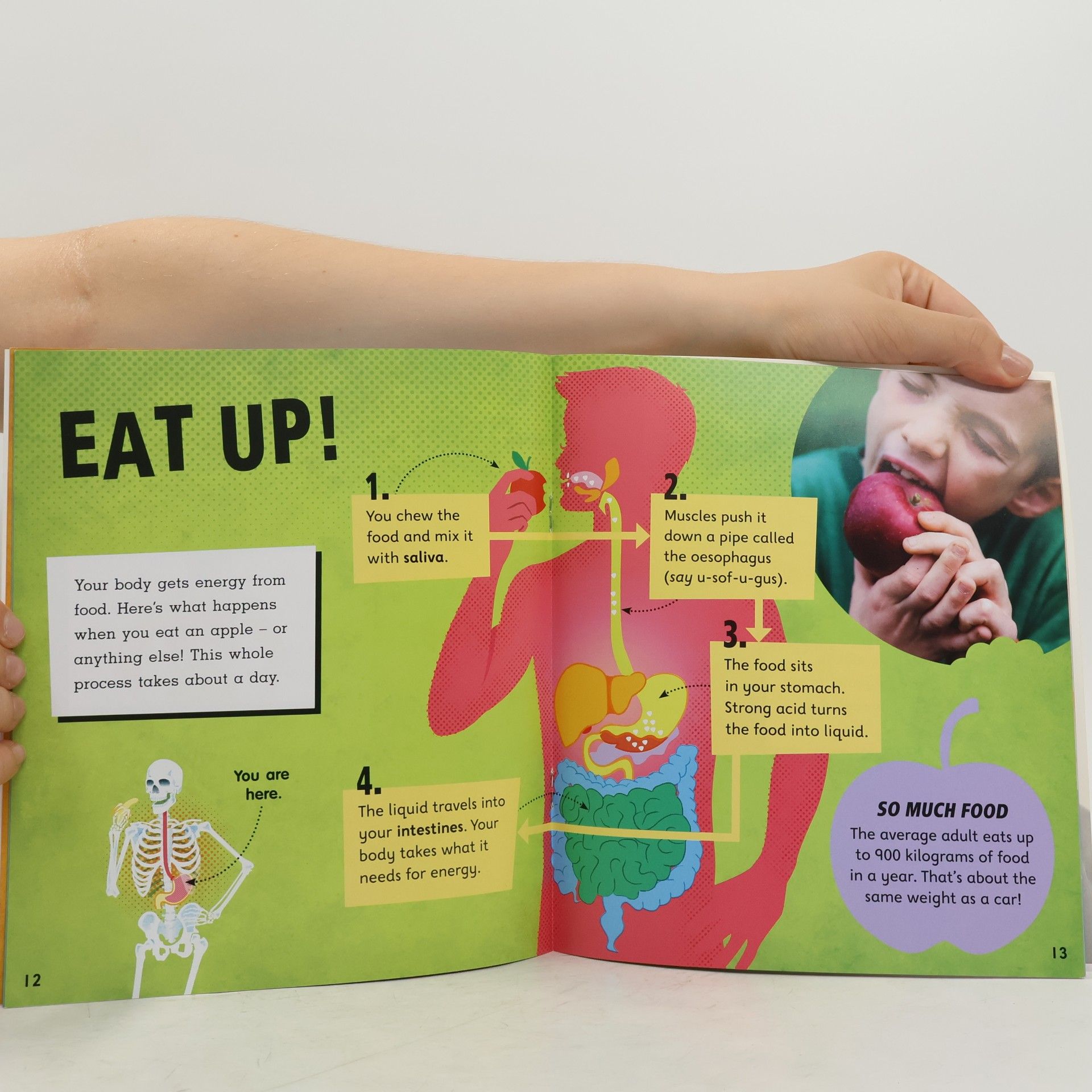 Vicky Shipton Oxford Reading Tree inFact - 9: Your Body, Inside Out