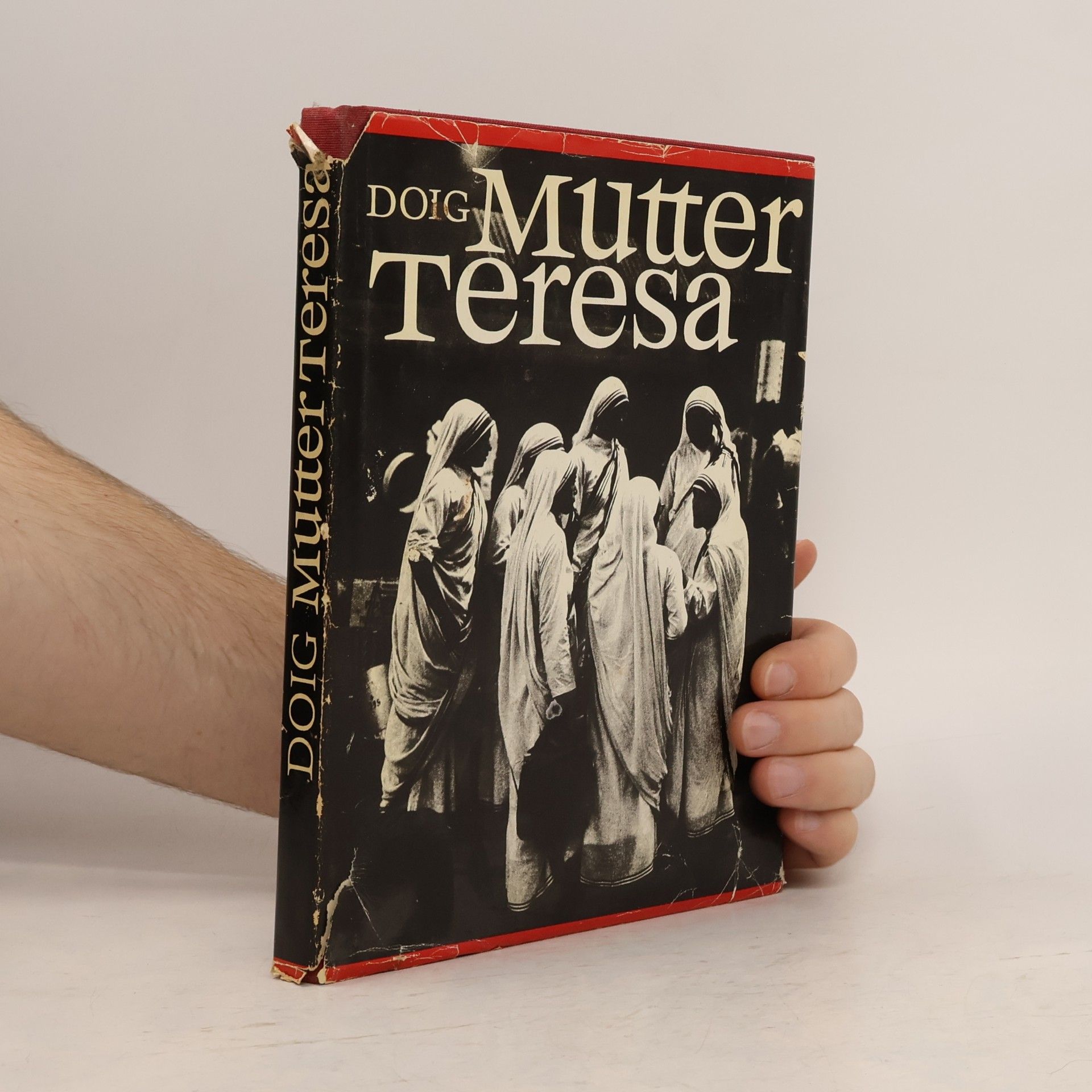 Desmond Doig Mutter Teresa