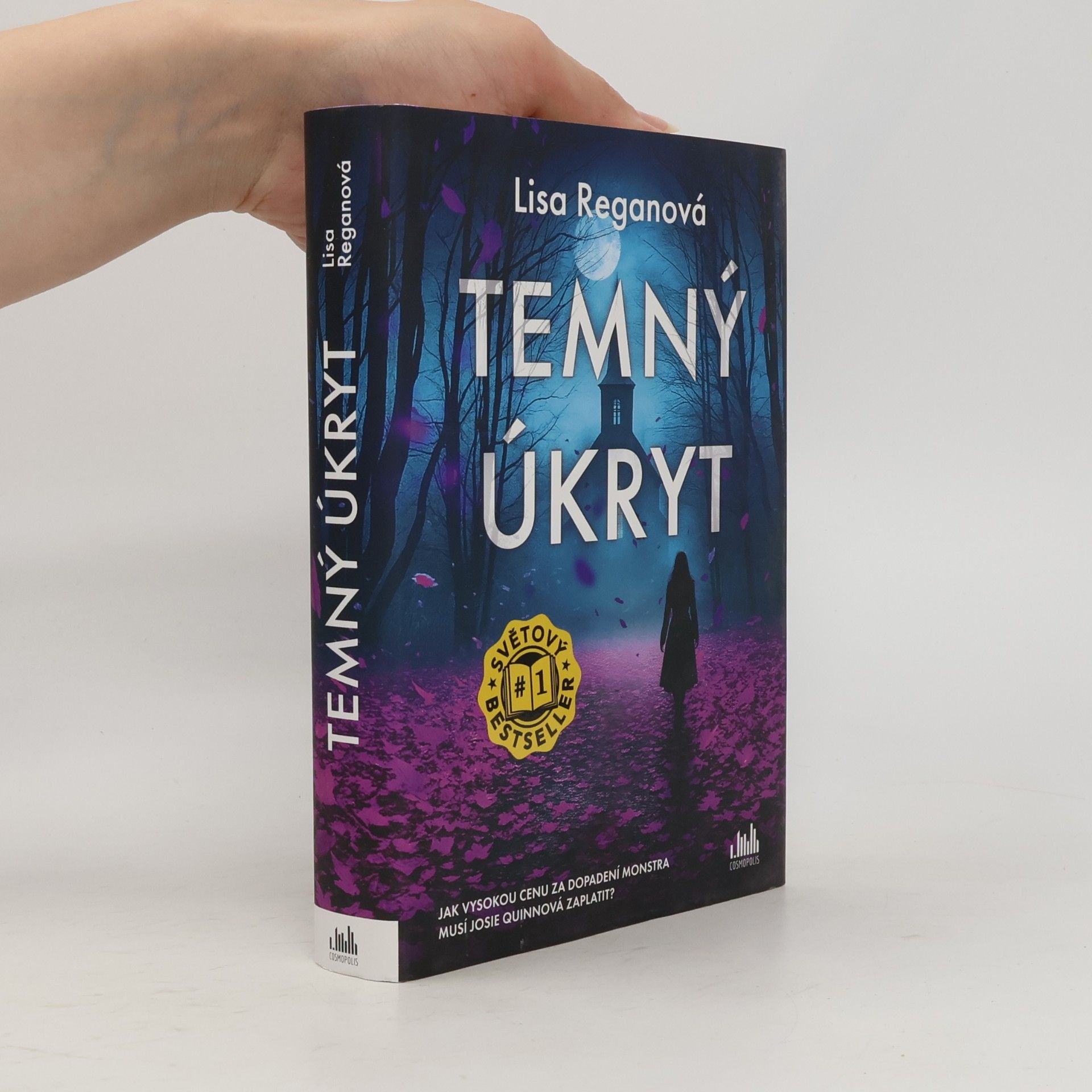 Lisa Regan Temný úkryt