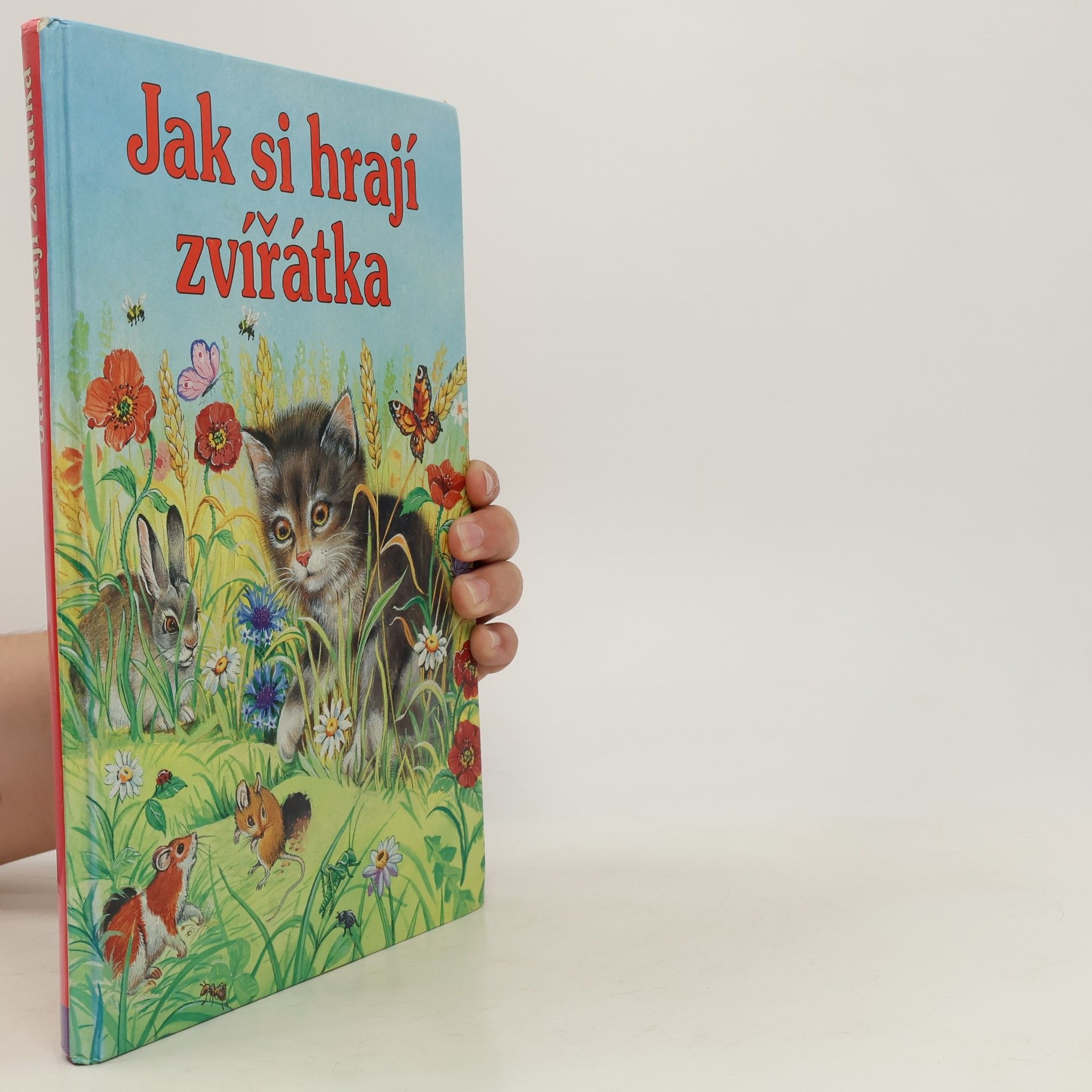 Auteurscollectief Jak si hrají zvířátka