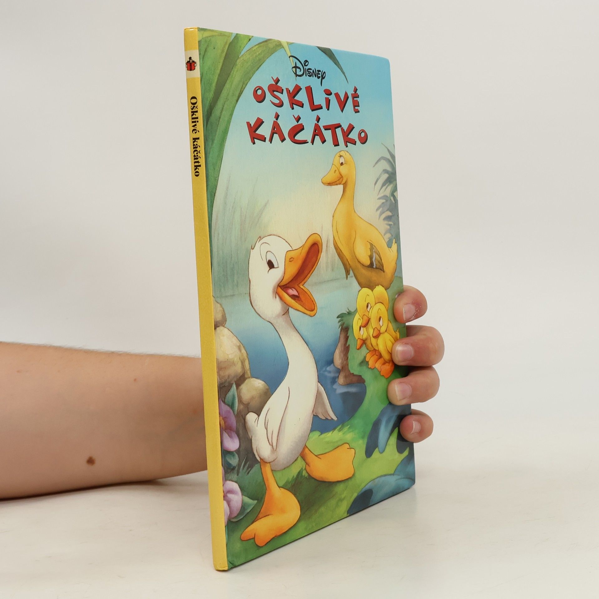 Ruth Fraňková Ošklivé káčátko