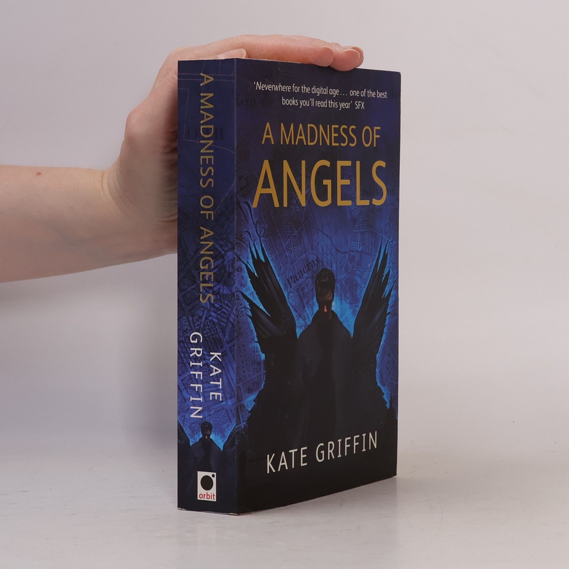 A Madness Of Angels