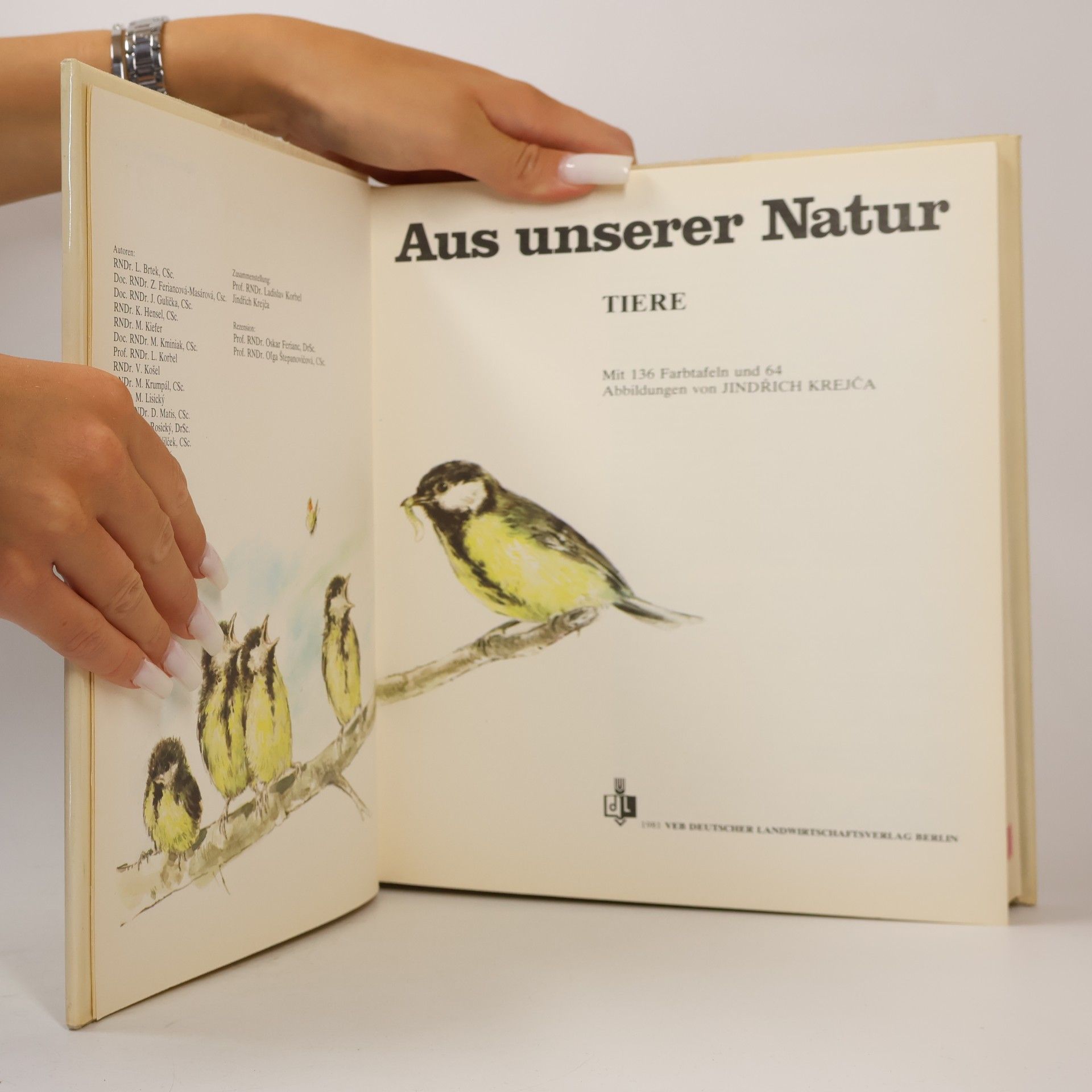 Jindřich Krejča Aus Unserer Natur