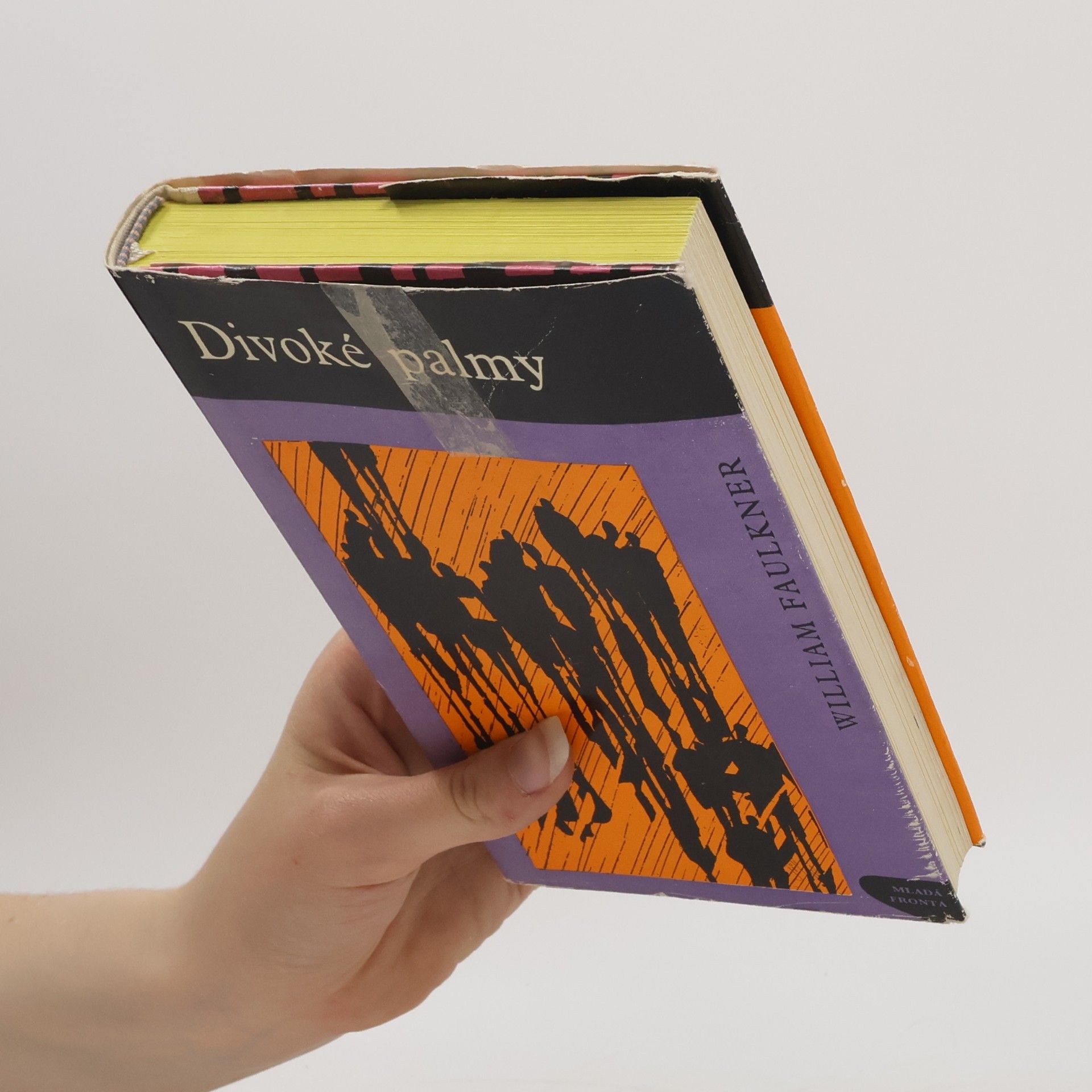 William Faulkner Divoké palmy