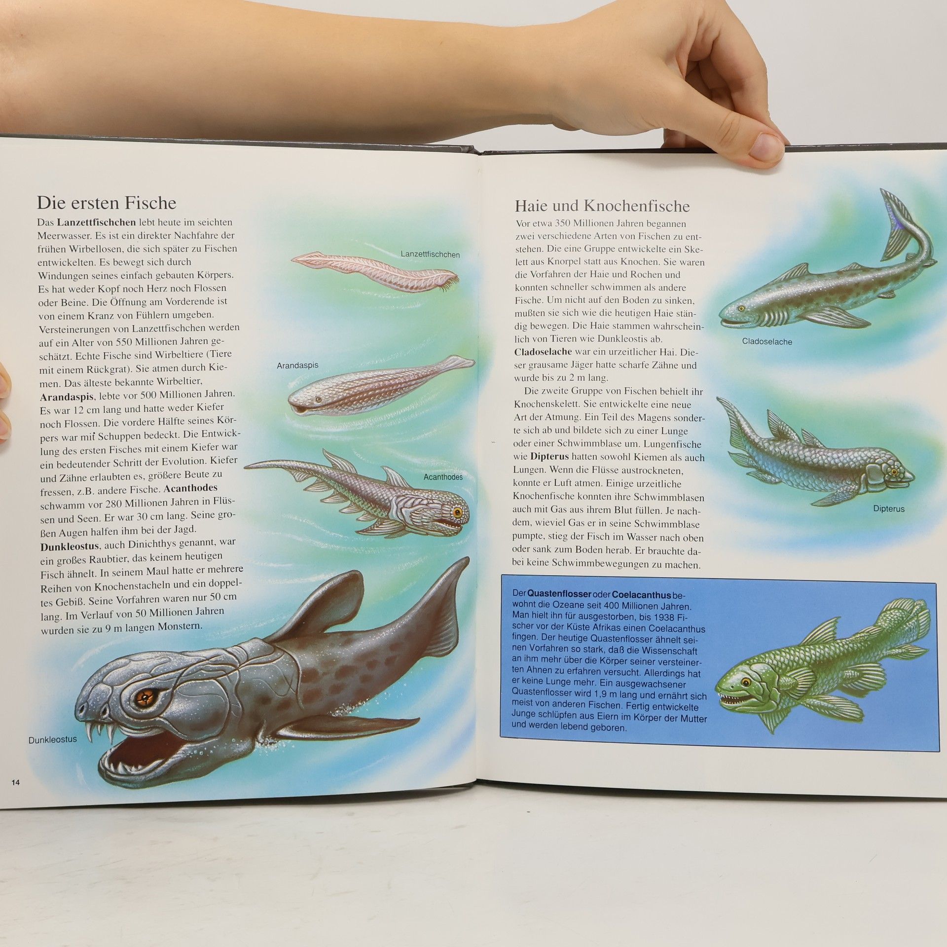 David A. Hardy Das große Buch der Dinosaurier