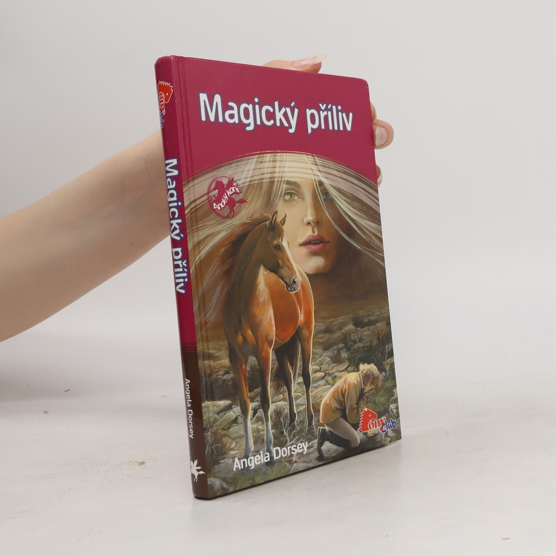 Angela Dorsey Magický příliv