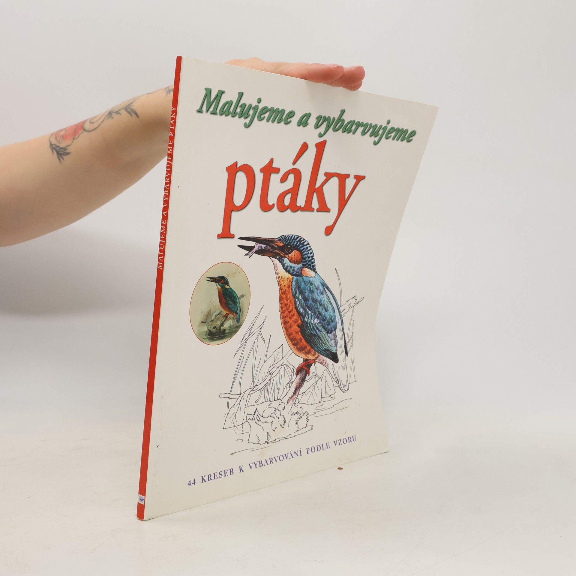 Autores varios Malujeme a vybarvujeme ptáky