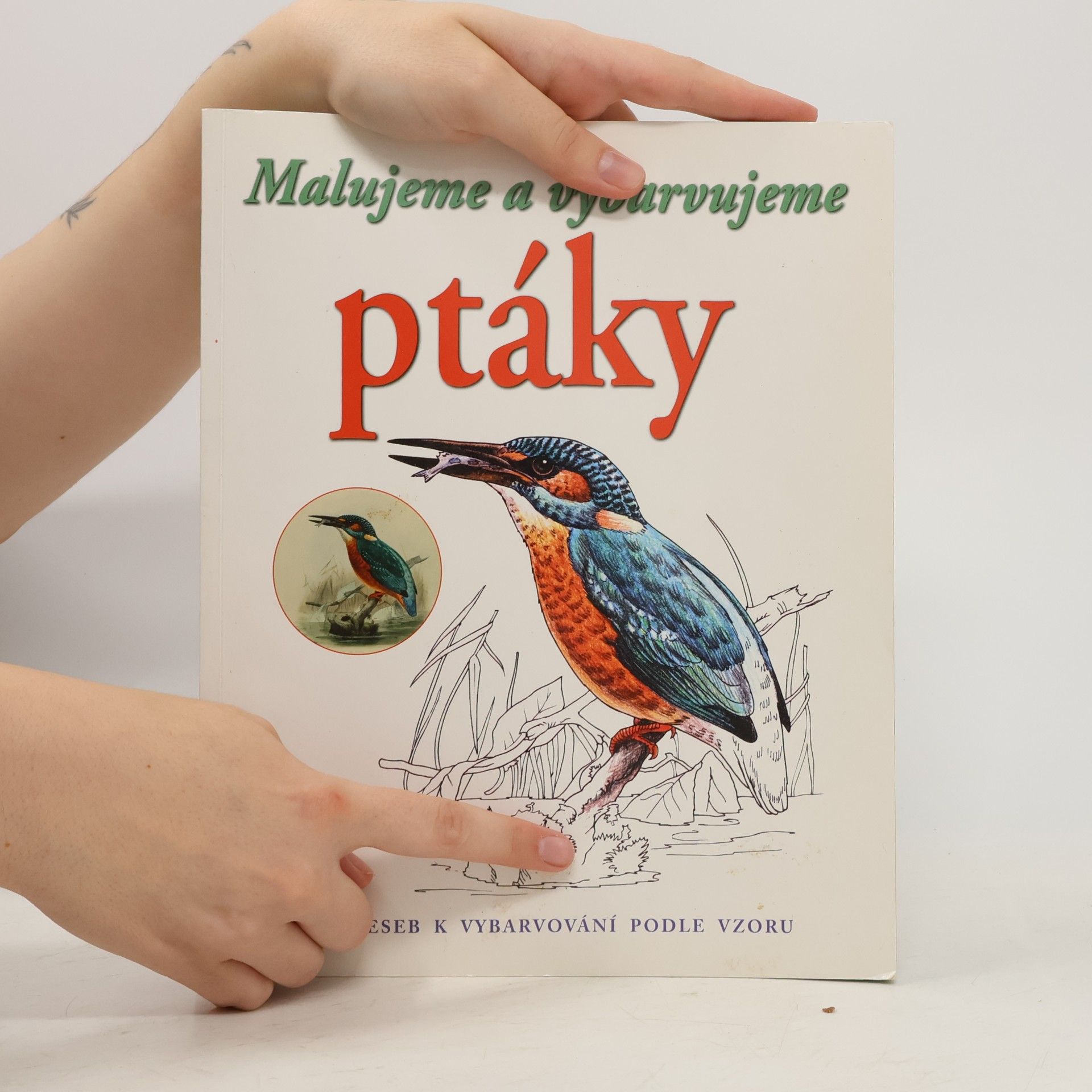 Autores varios Malujeme a vybarvujeme ptáky