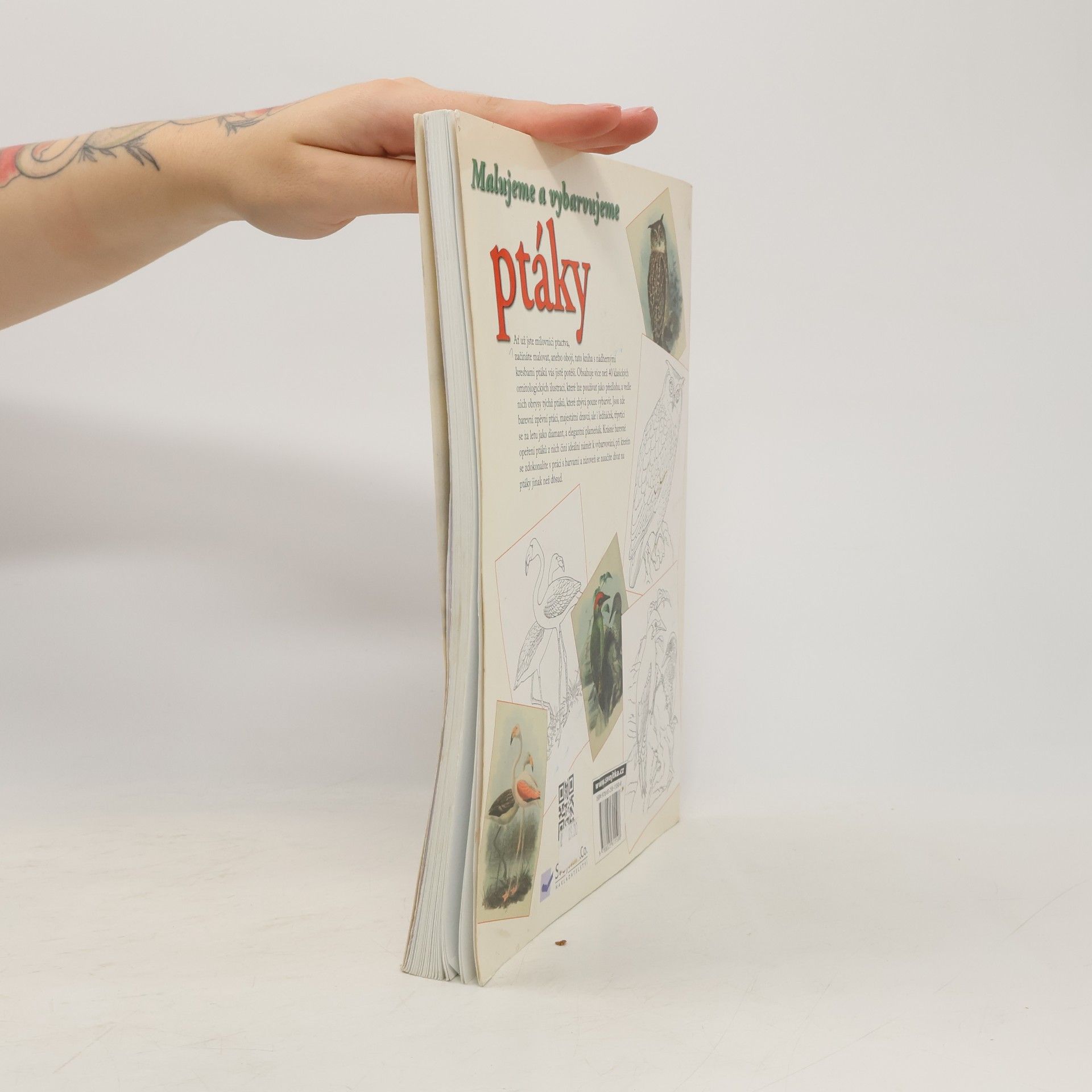 Autores varios Malujeme a vybarvujeme ptáky