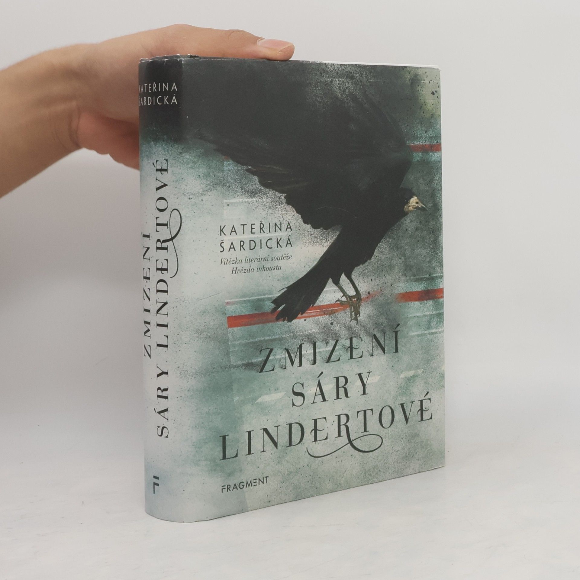 Kateřina Šardická Zmizení Sáry Lindertové