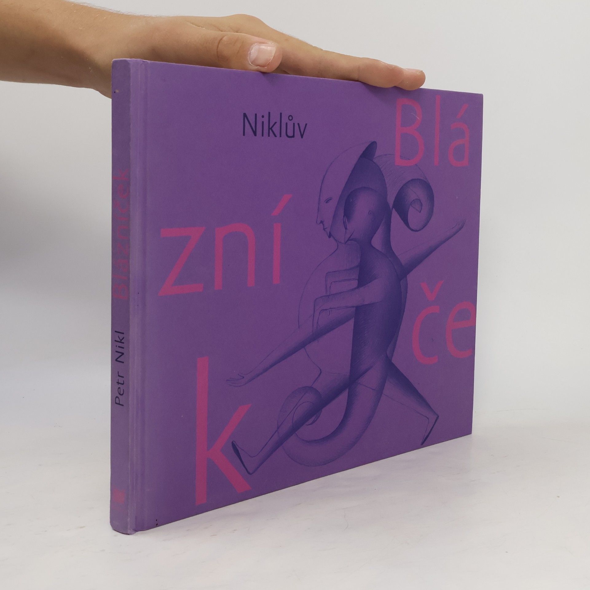 Petr Nikl Niklův Blázníček