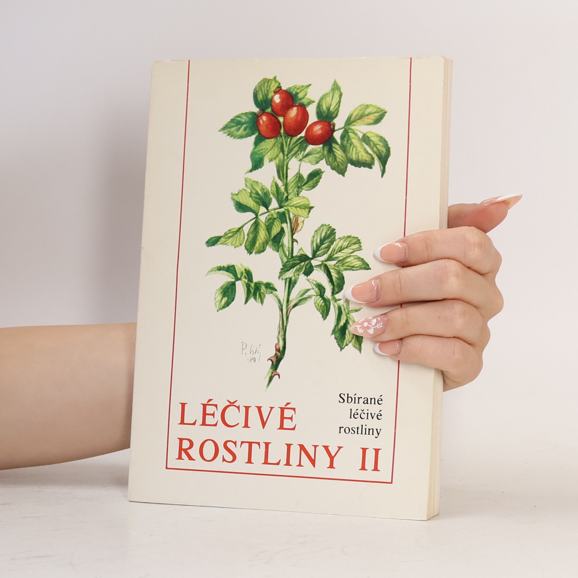 Štěpán Neubauer Léčivé rostliny II