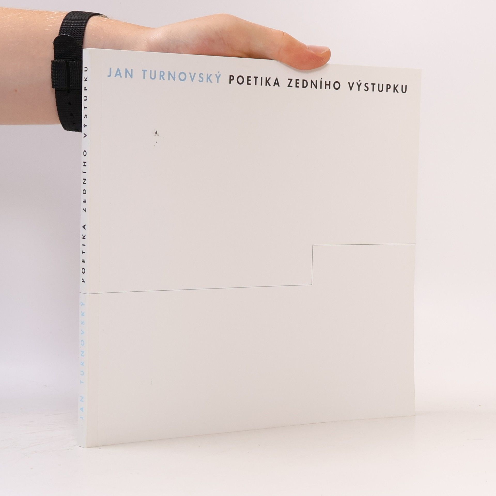 Evžen Turnovský Poetika zedního výstupku