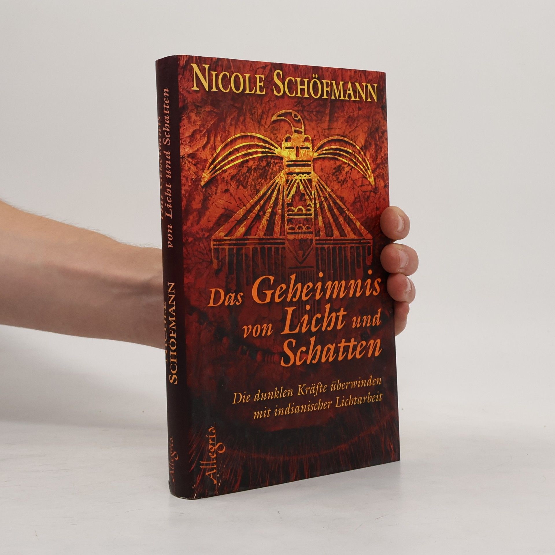 Nicole Schöfmann Das Geheimnis von Licht und Schatten